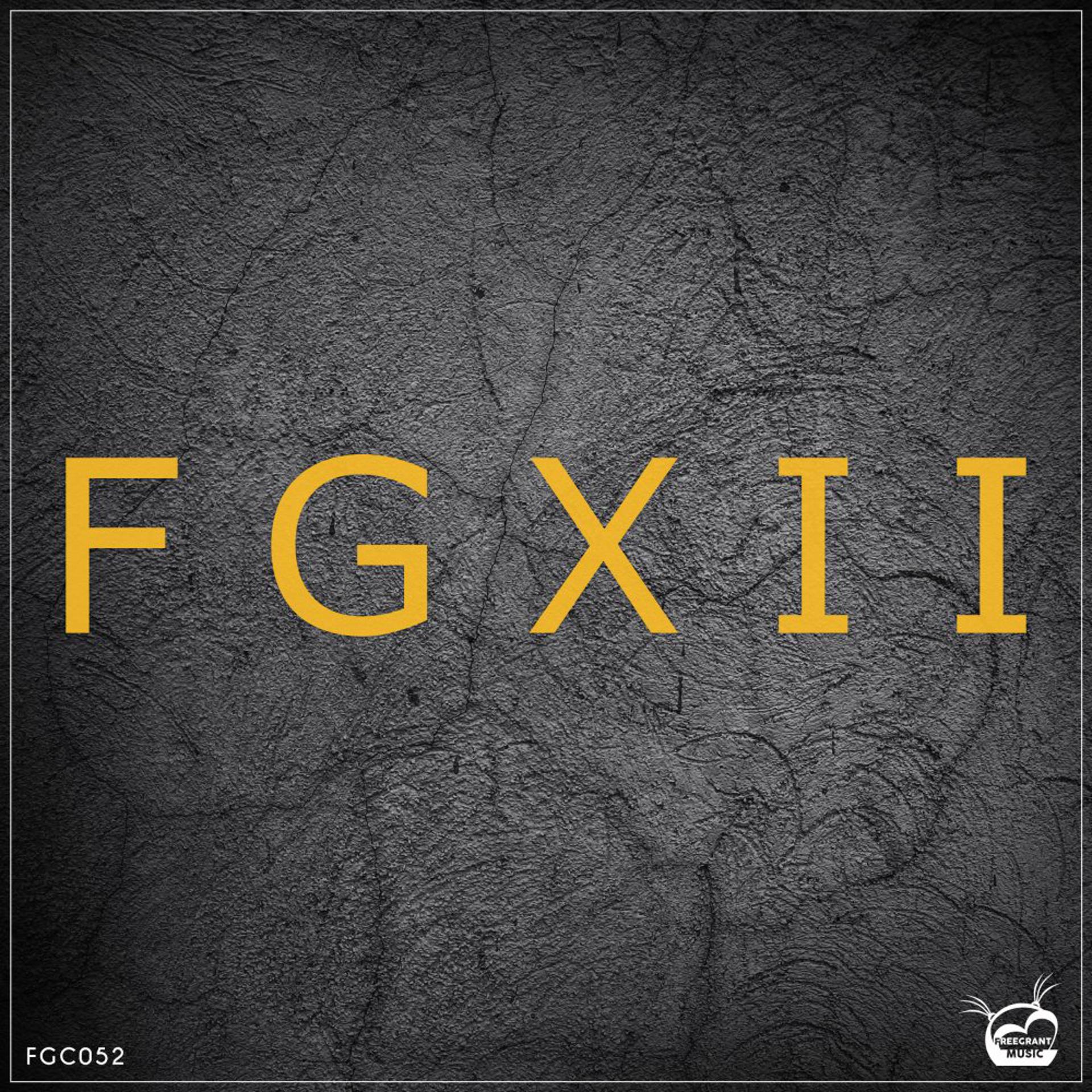 Постер альбома FGXII (12th Years Anniversary)