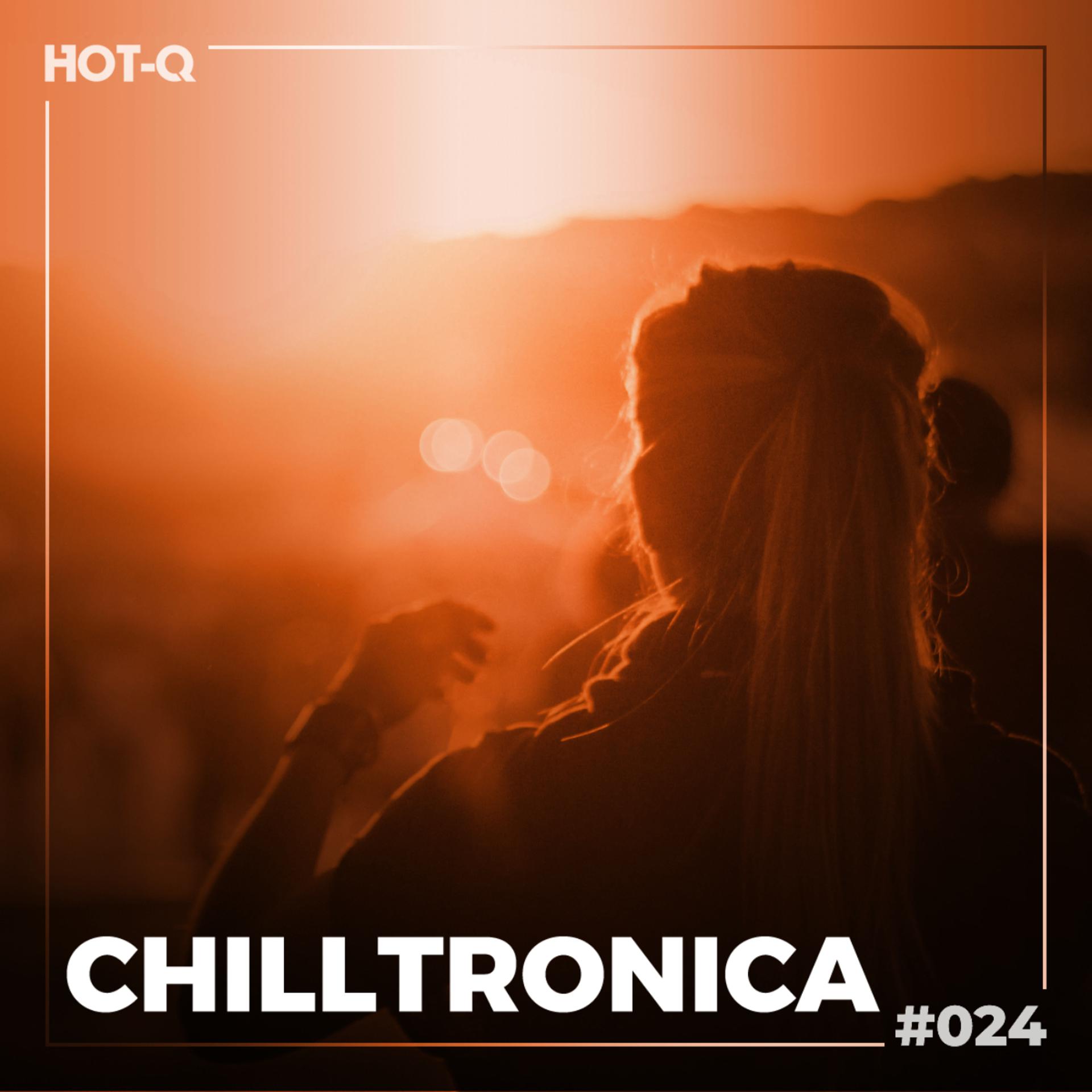 Постер альбома Chilltronica 024