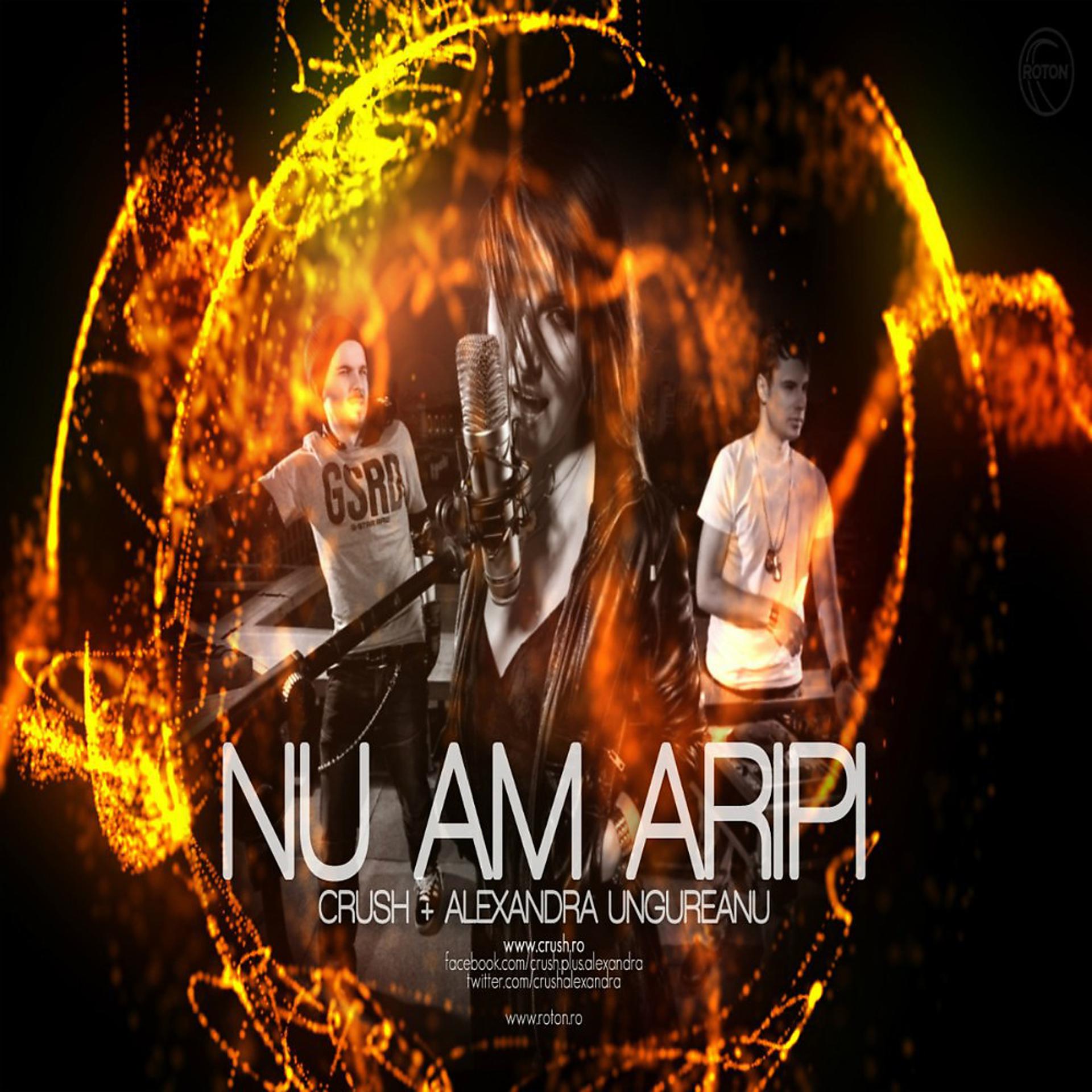 Постер альбома Nu am aripi