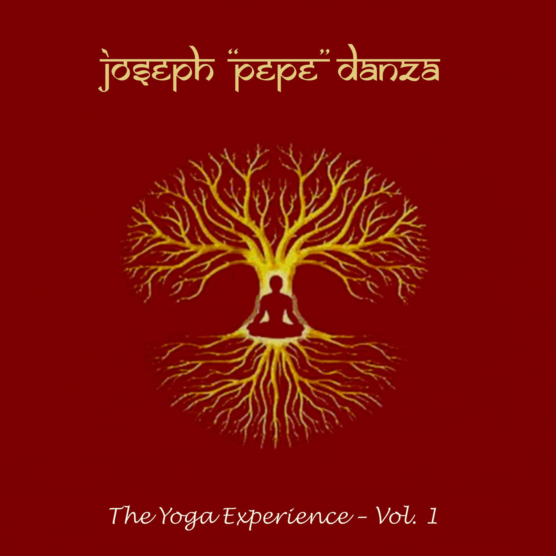Постер альбома Yoga Experience (Volume 1)