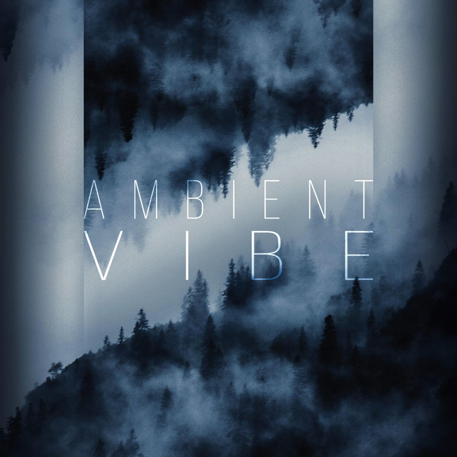 Постер альбома AMBIENT VIBE