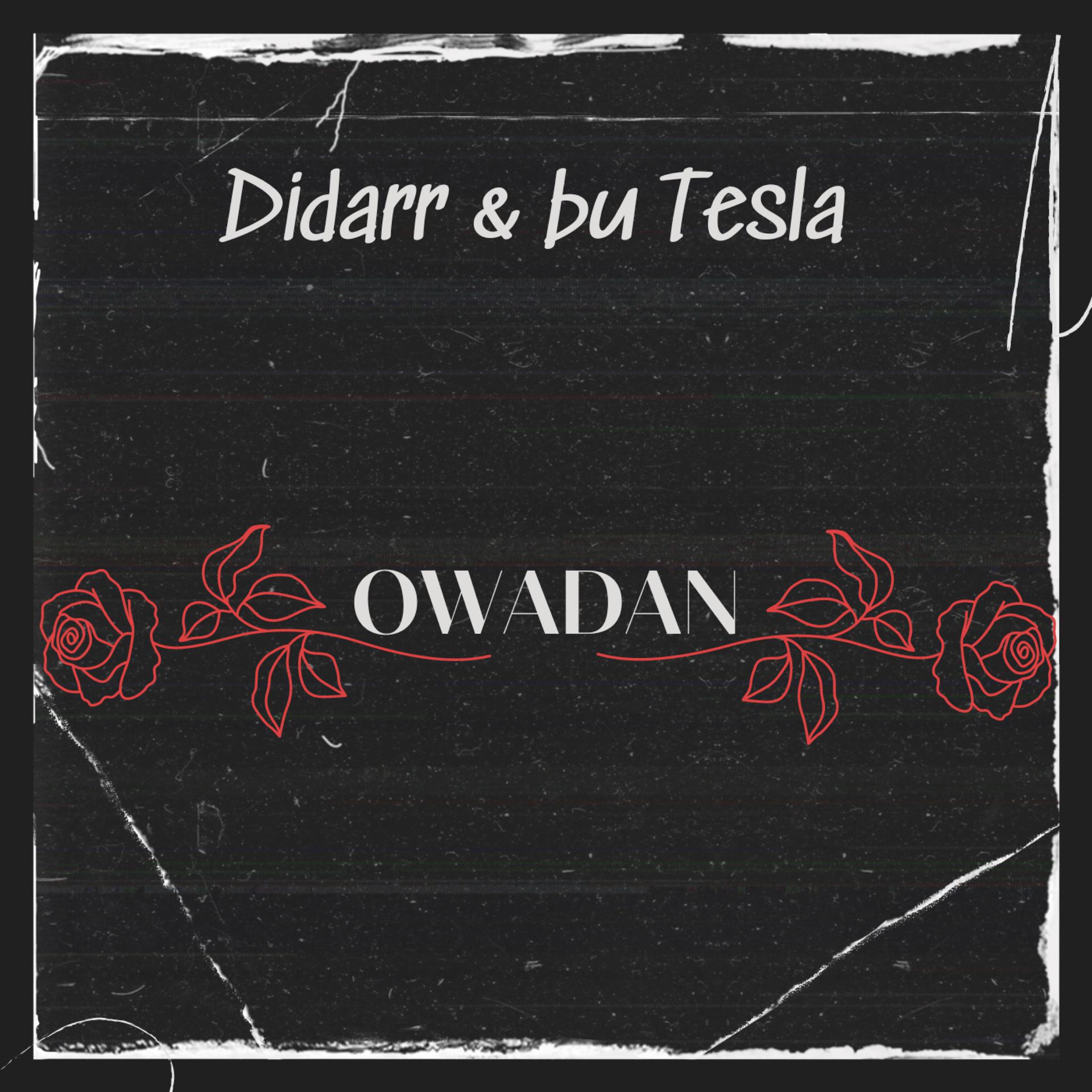 Постер альбома Owadan