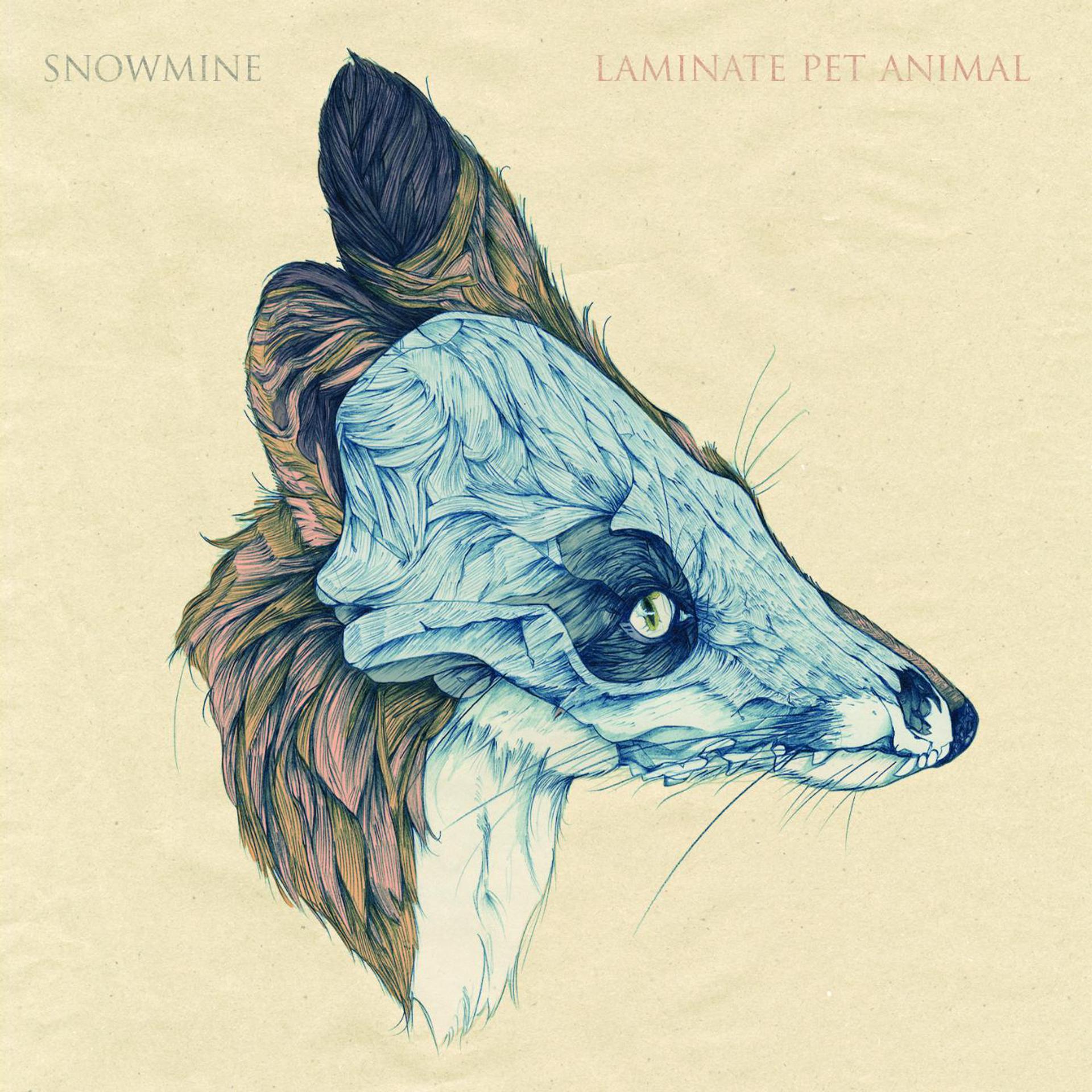 Постер альбома Laminate Pet Animal