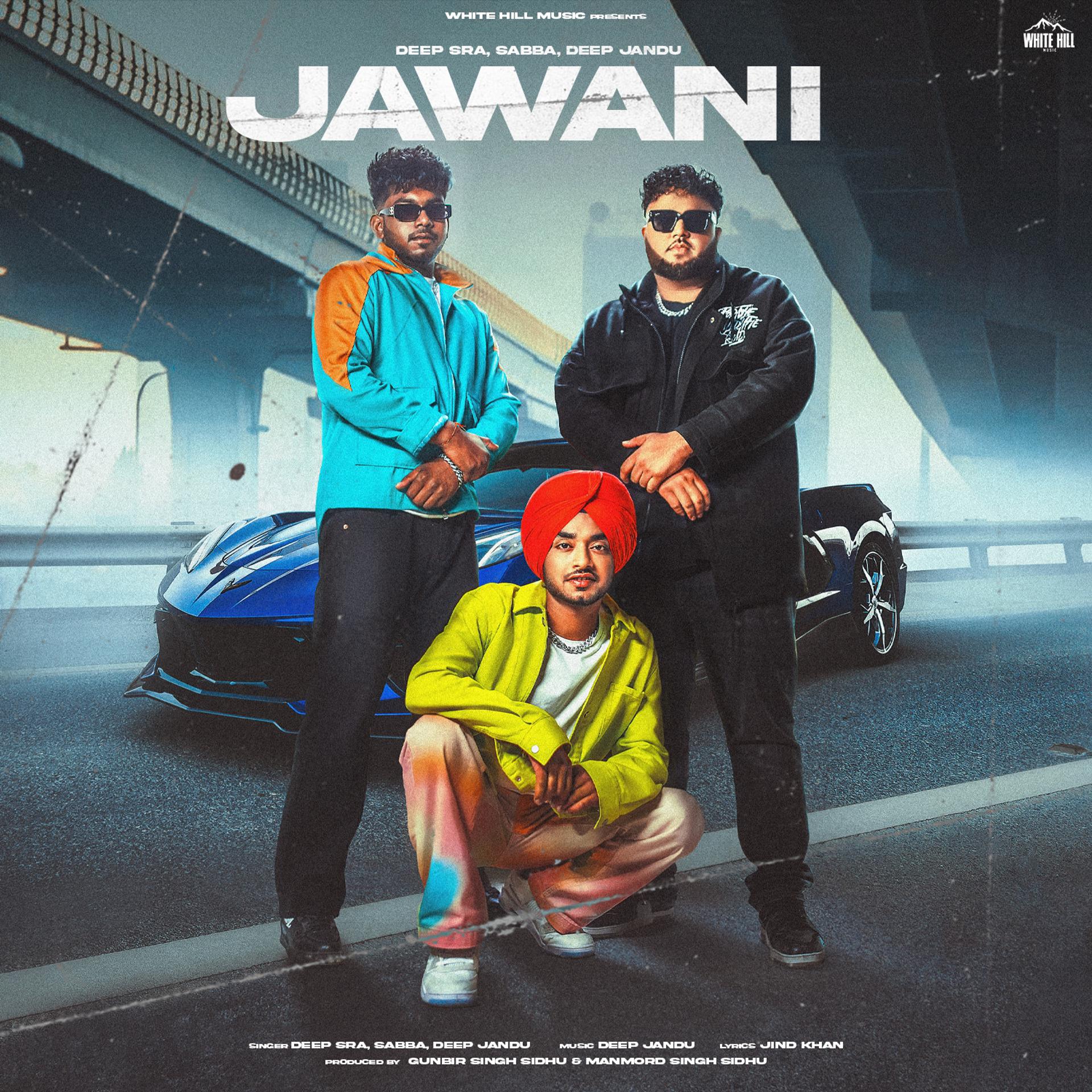 Постер альбома Jawani