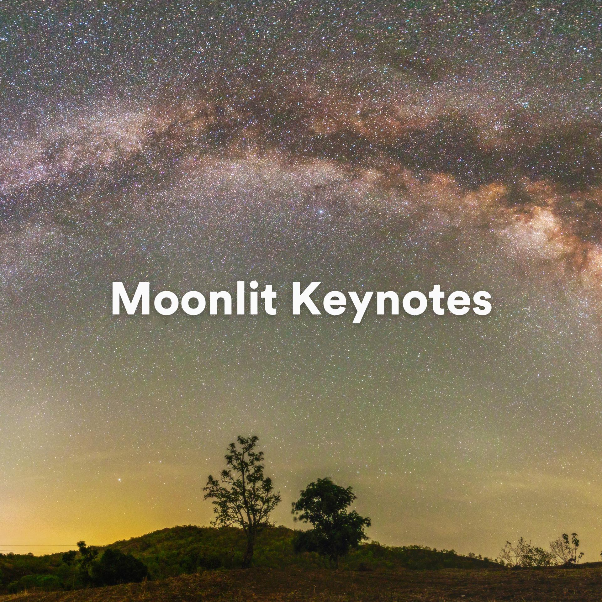 Постер альбома Moonlit Keynotes