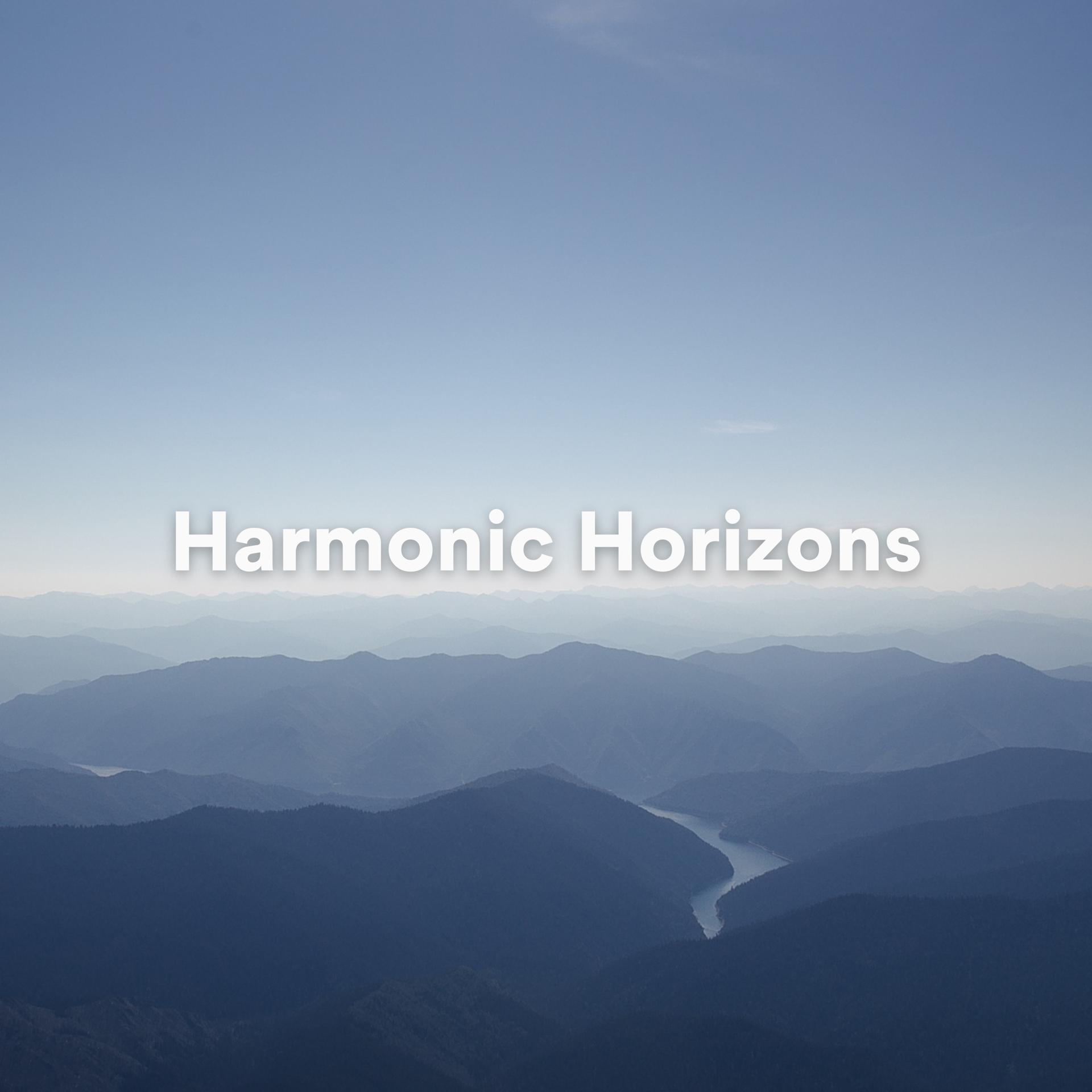 Постер альбома Harmonic Horizons