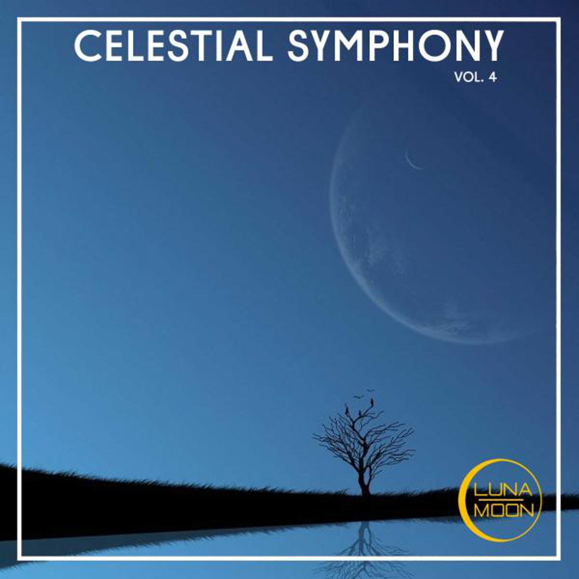 Постер альбома Celestial Symphony, Vol. 4