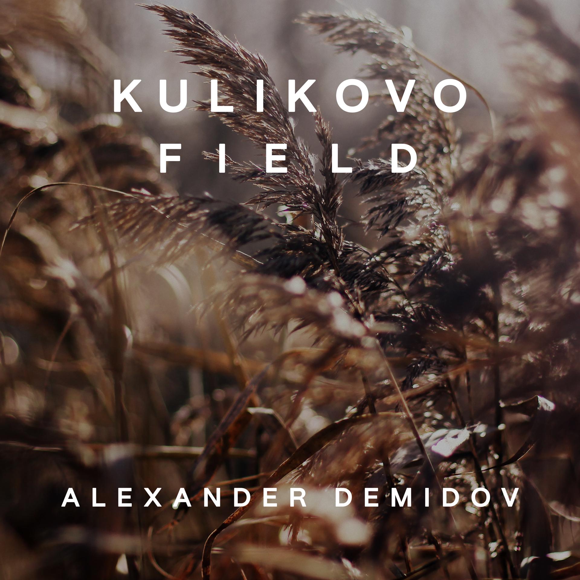 Постер альбома Kulikovo Field