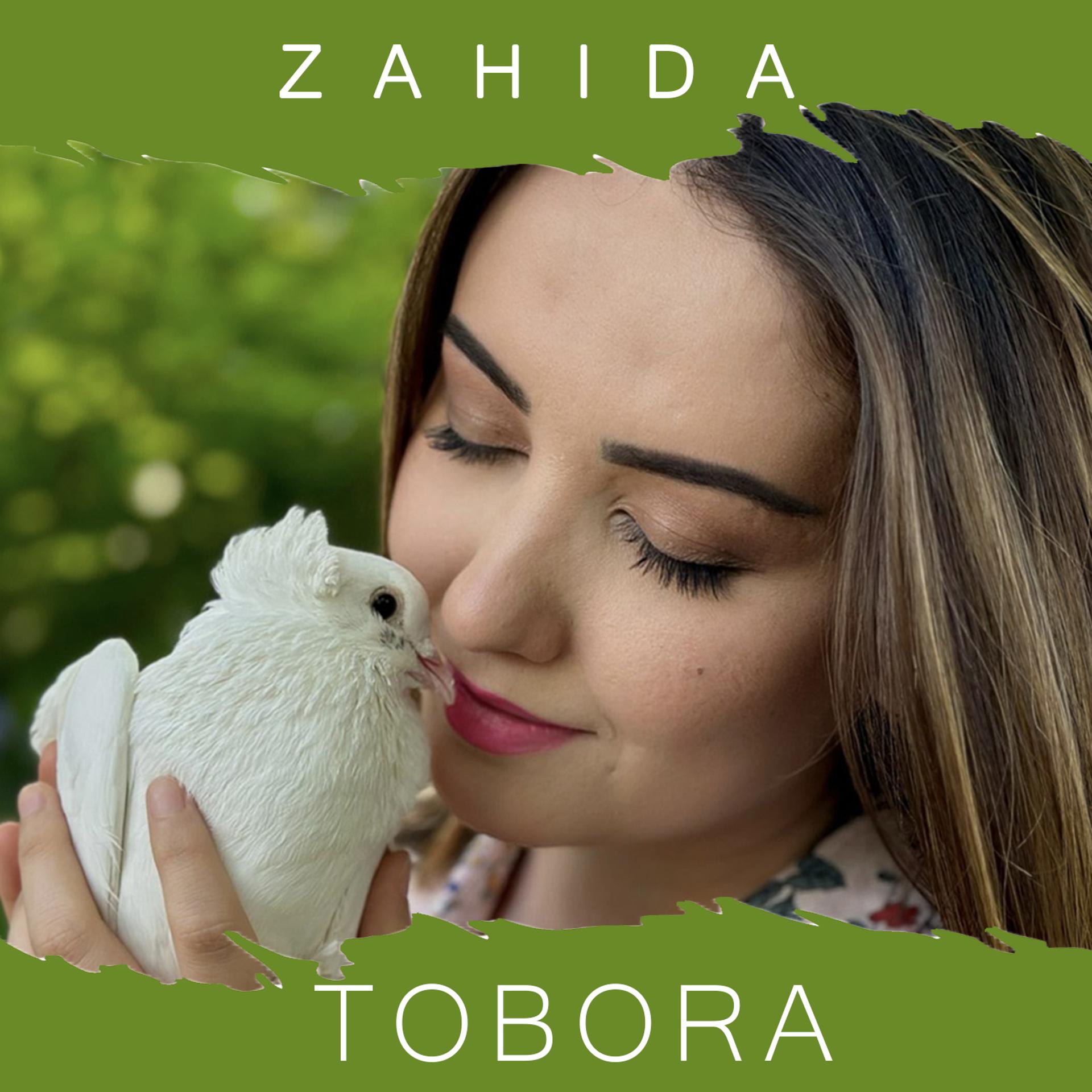 Постер альбома Tobora
