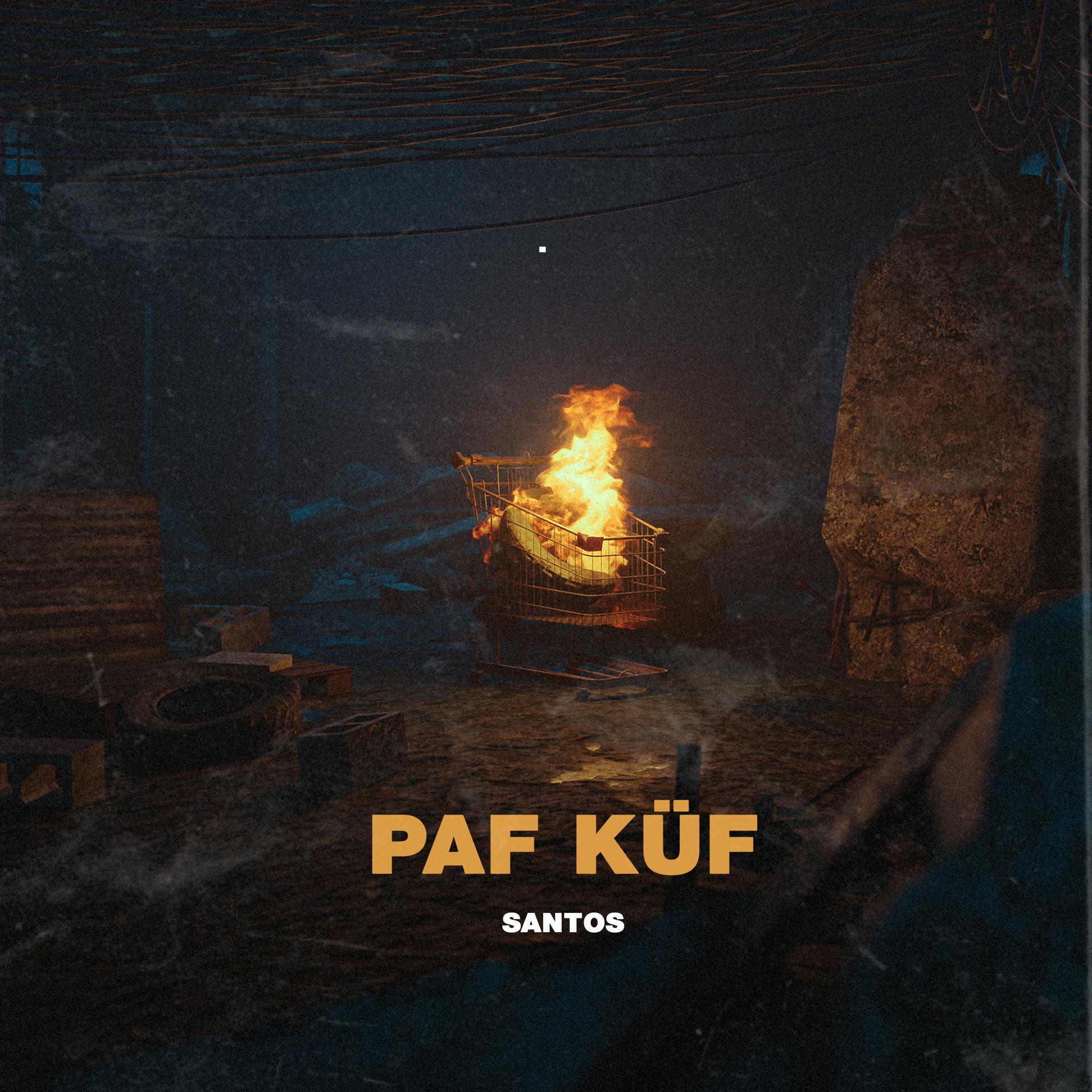 Постер альбома PAFKÜF