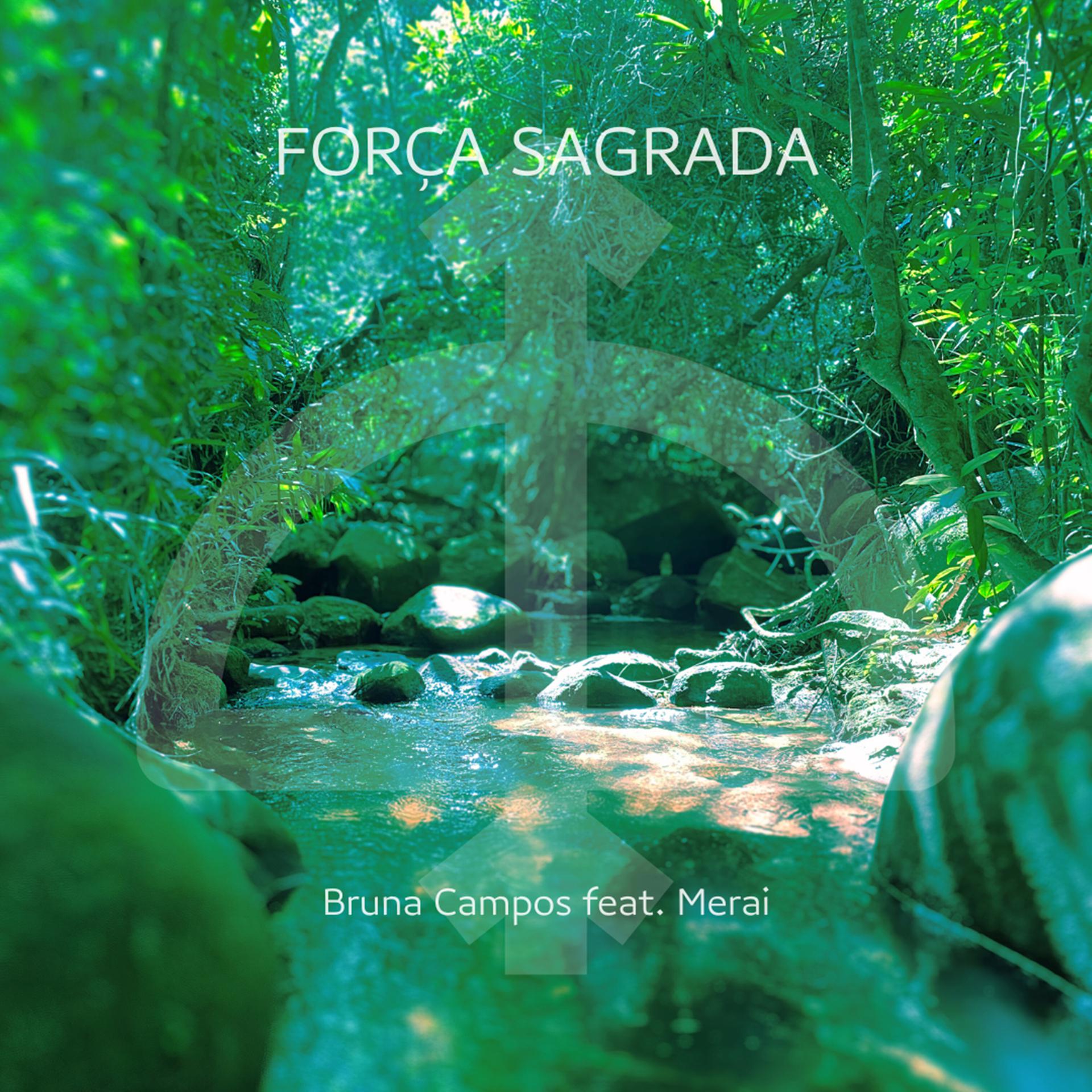 Постер альбома Força Sagrada