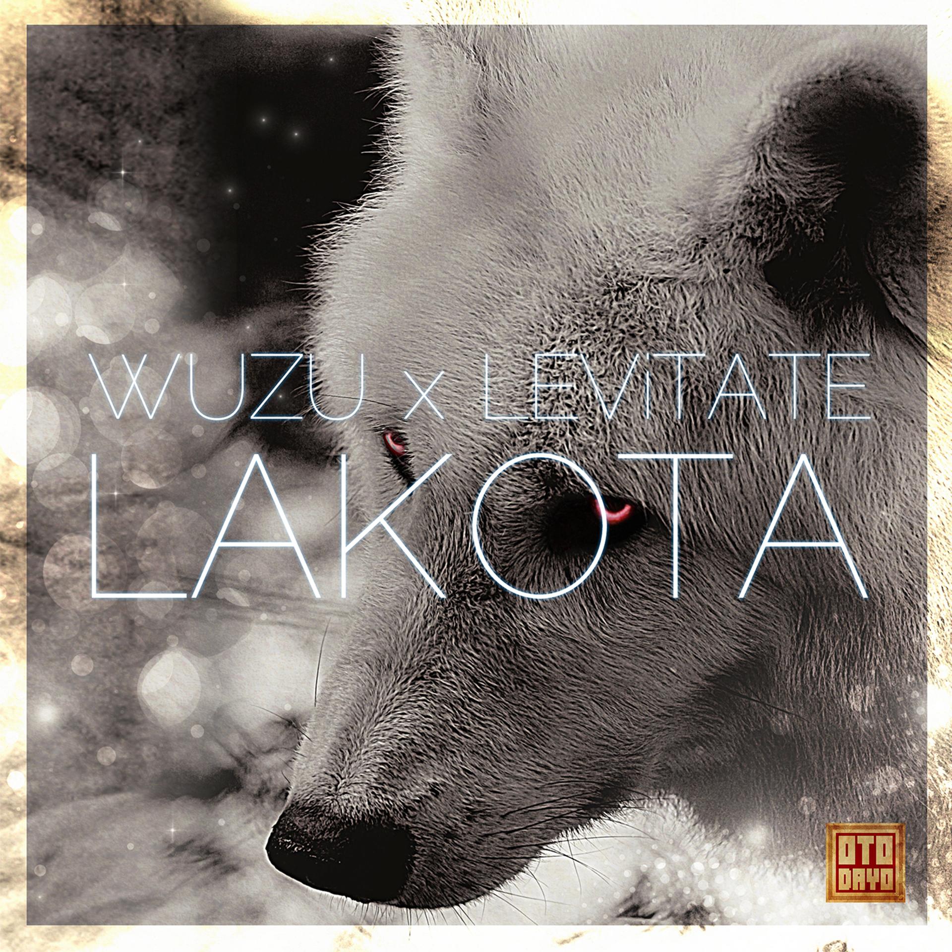 Постер альбома Lakota
