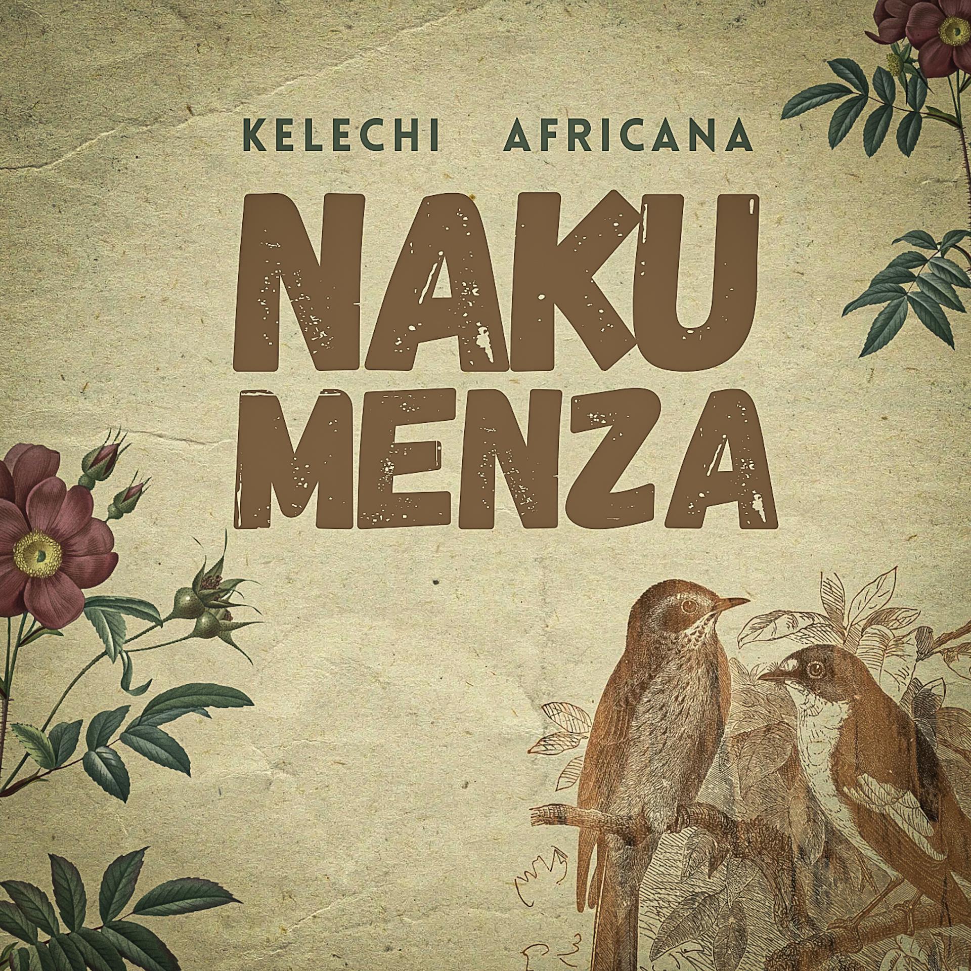 Постер альбома Nakumenza