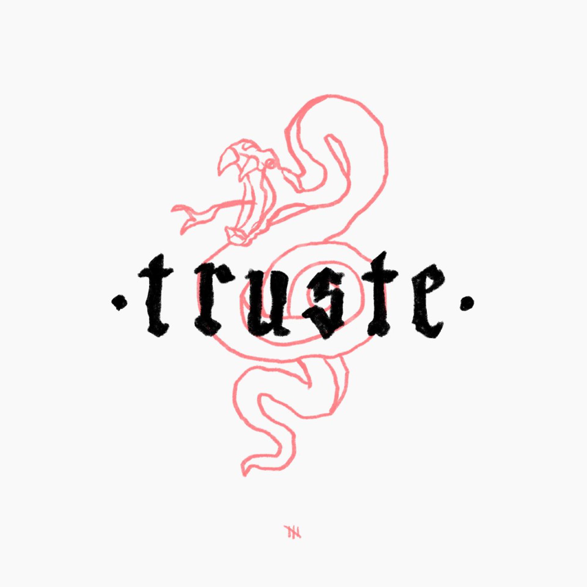Постер альбома Truste