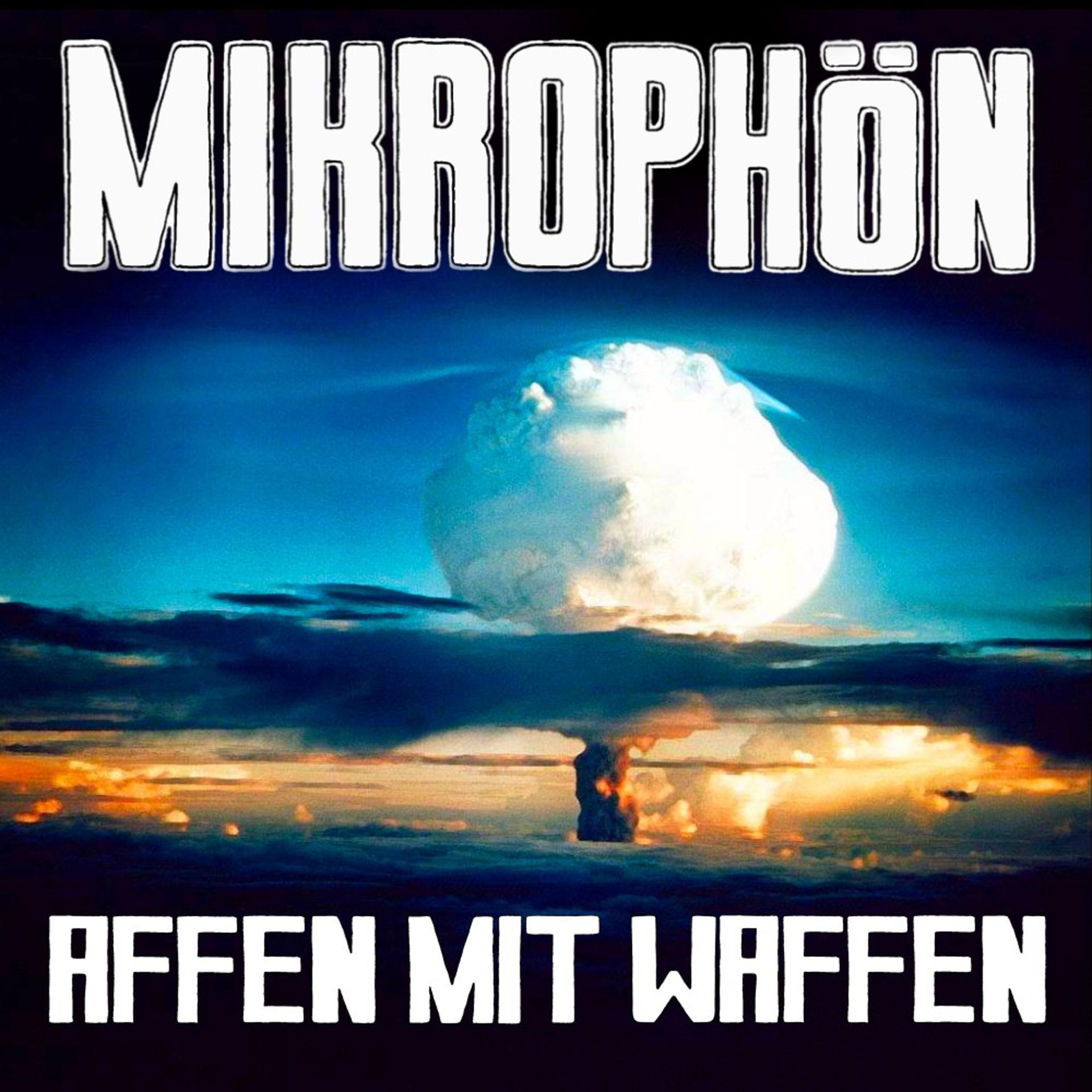 Постер альбома Affen mit Waffen