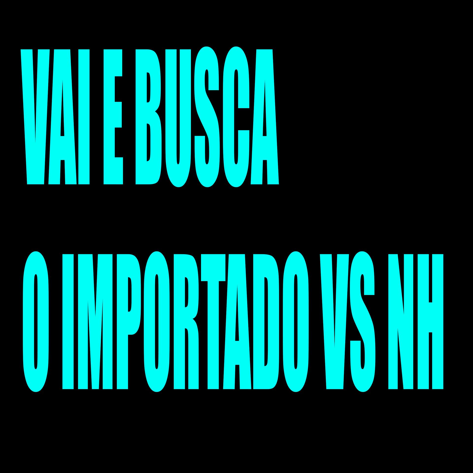 Постер альбома Vai e Busca o Importado Vs Nh
