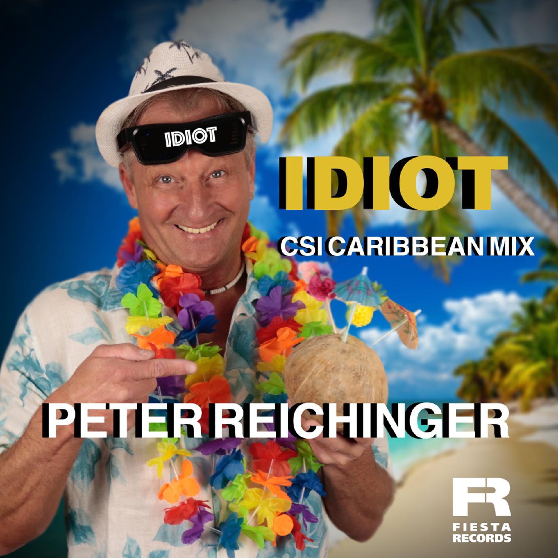 Постер альбома Idiot (CSI Caribbean Mix)