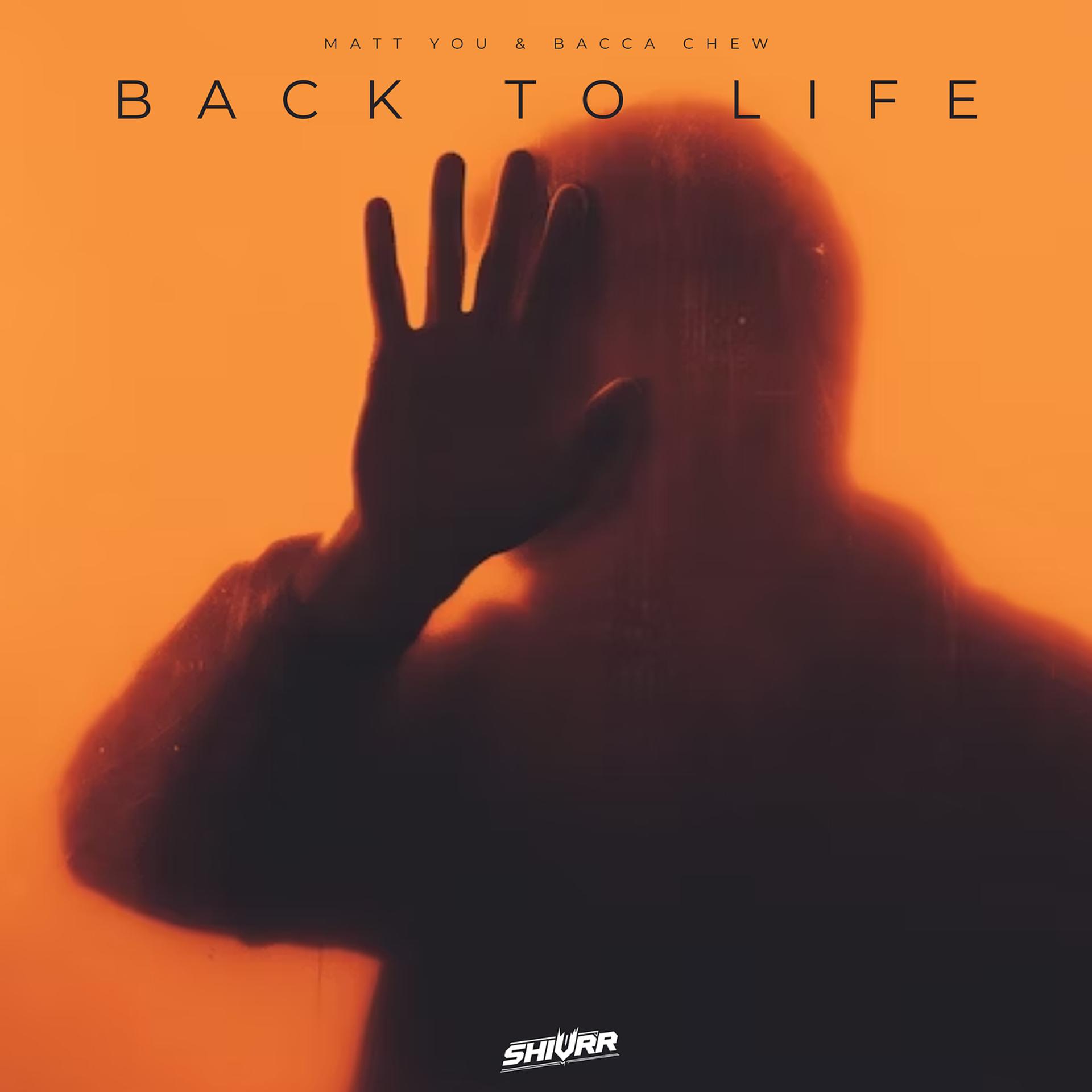 Постер альбома Back to Life