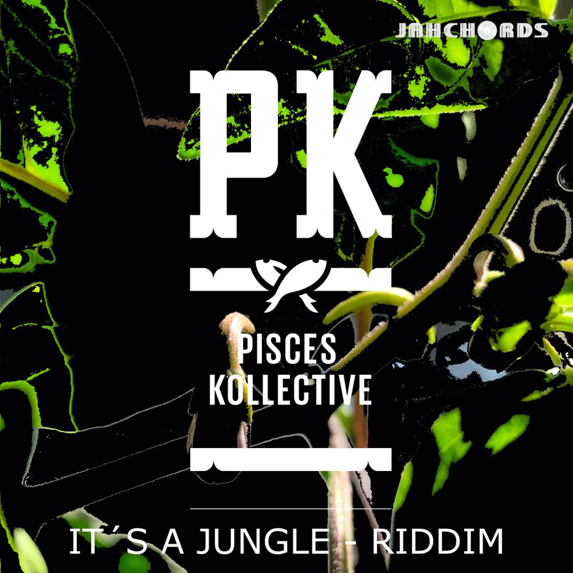 Постер альбома It's a Jungle Riddim