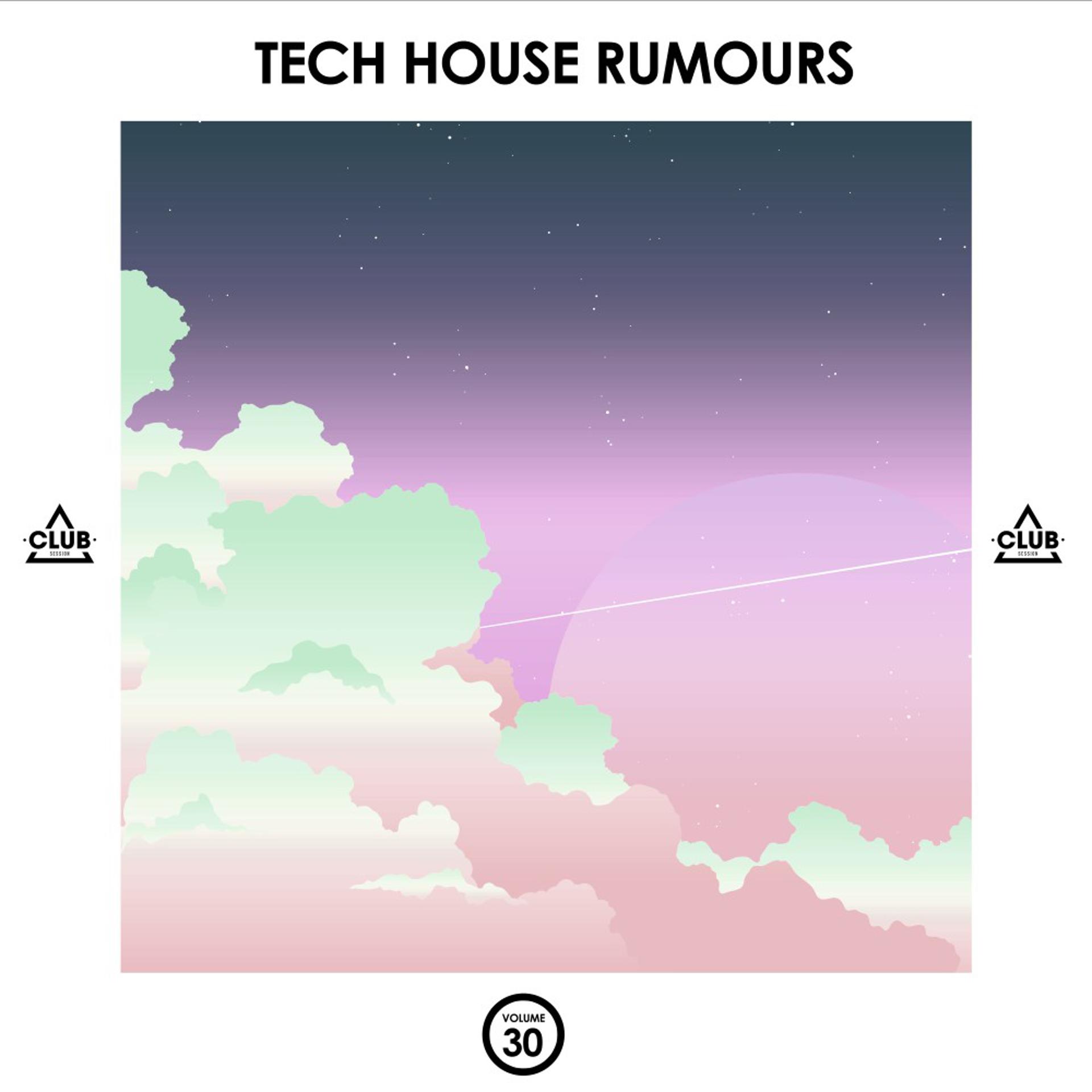 Постер альбома Tech House Rumours, Vol. 30