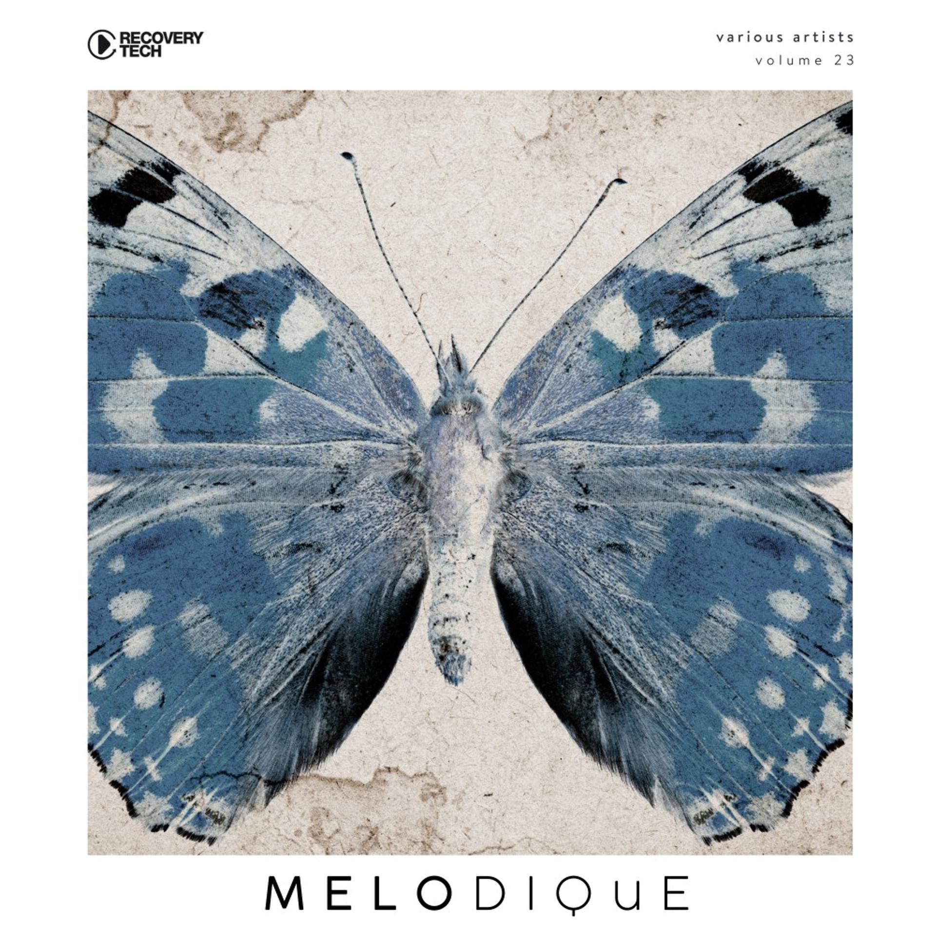 Постер альбома Melodique Vol. 23