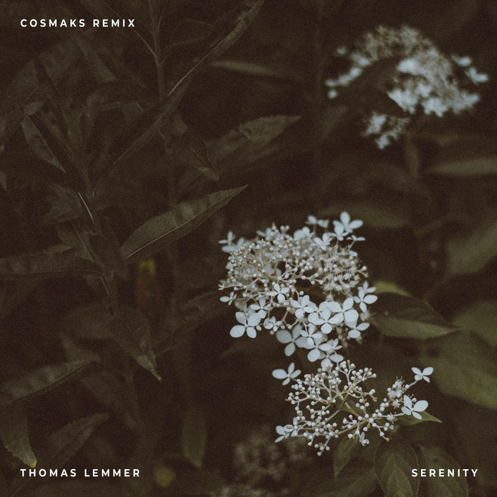 Постер альбома Serenity (Cosmaks Remix)