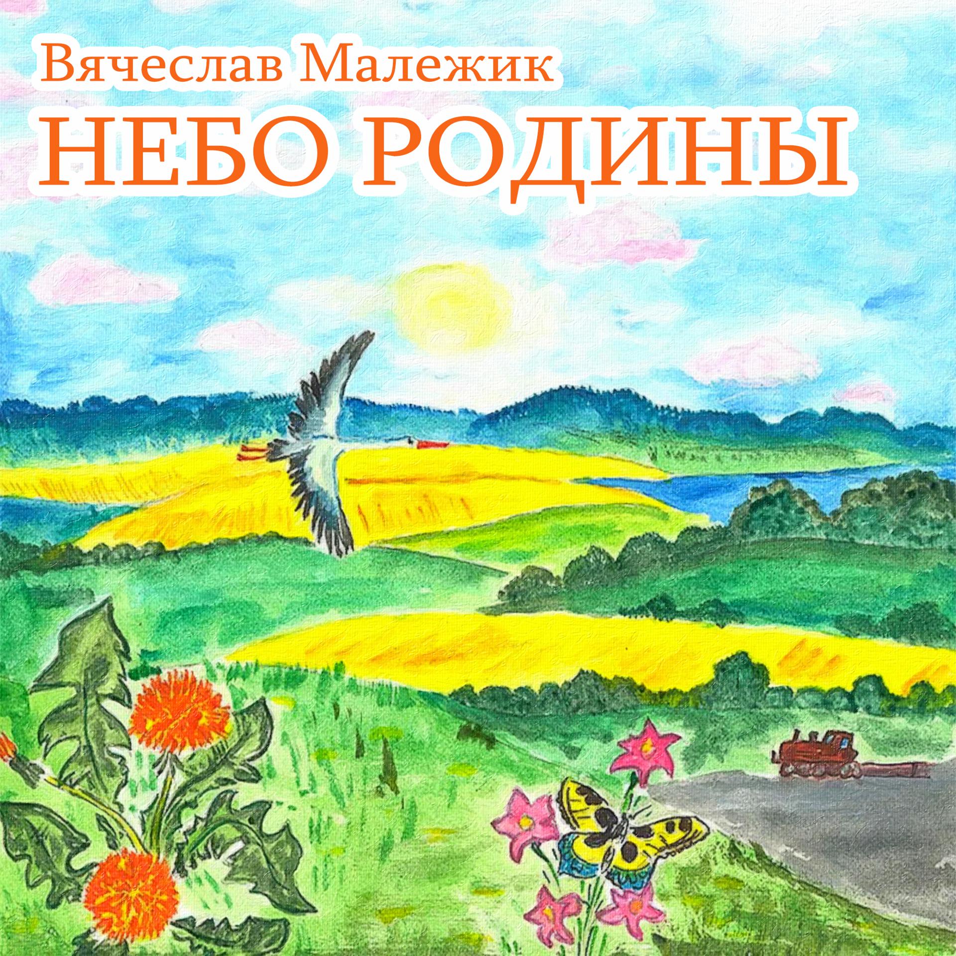 Постер альбома Небо Родины