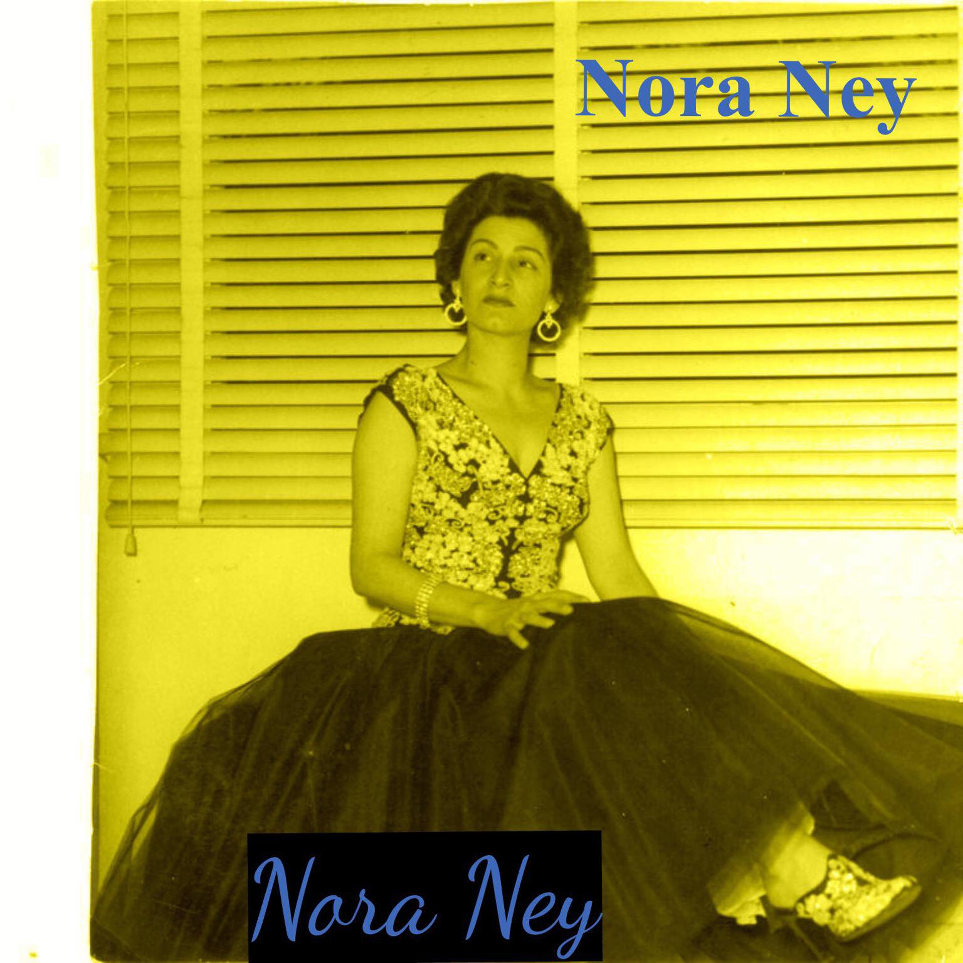 Постер альбома Nora Ney