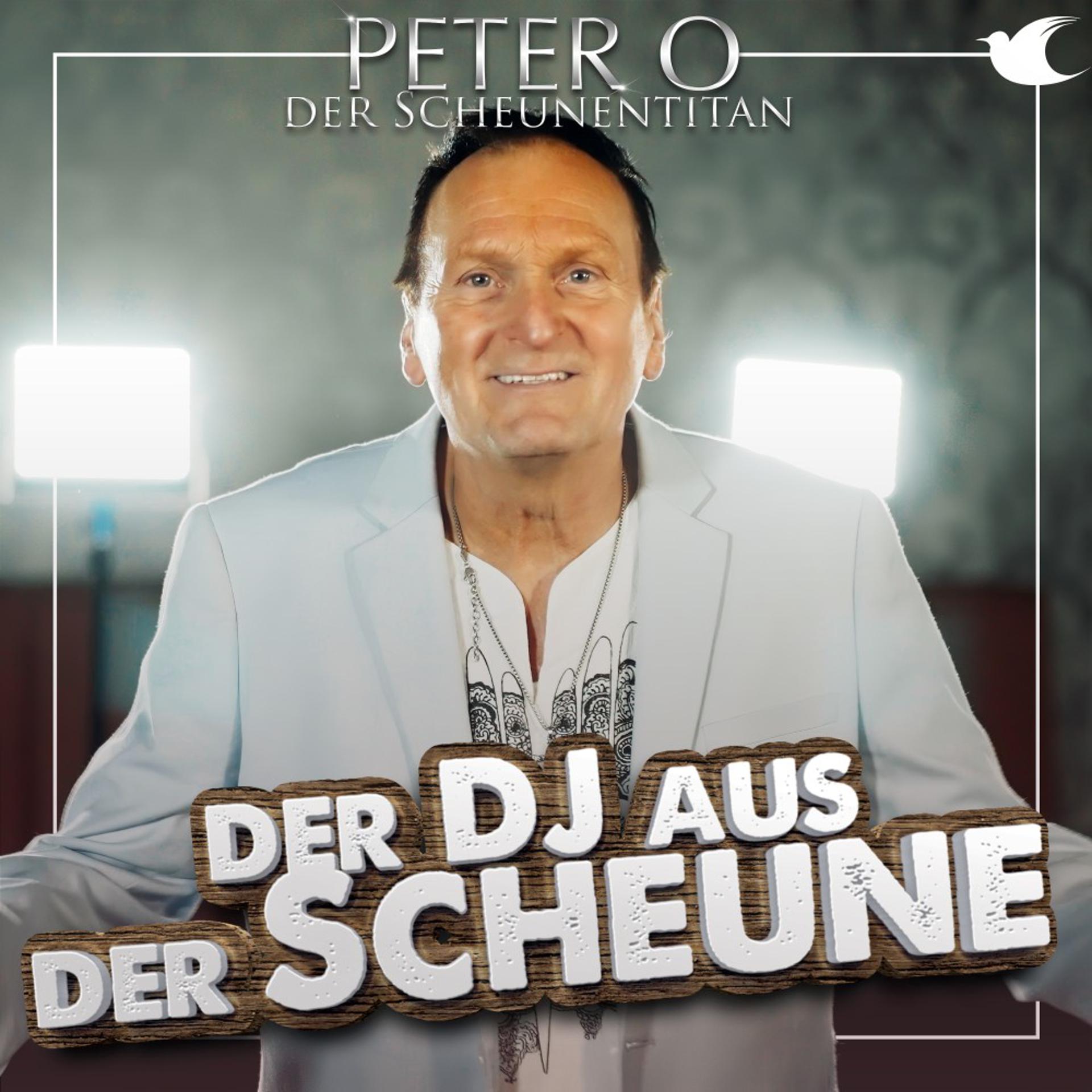 Постер альбома Der DJ aus der Scheune
