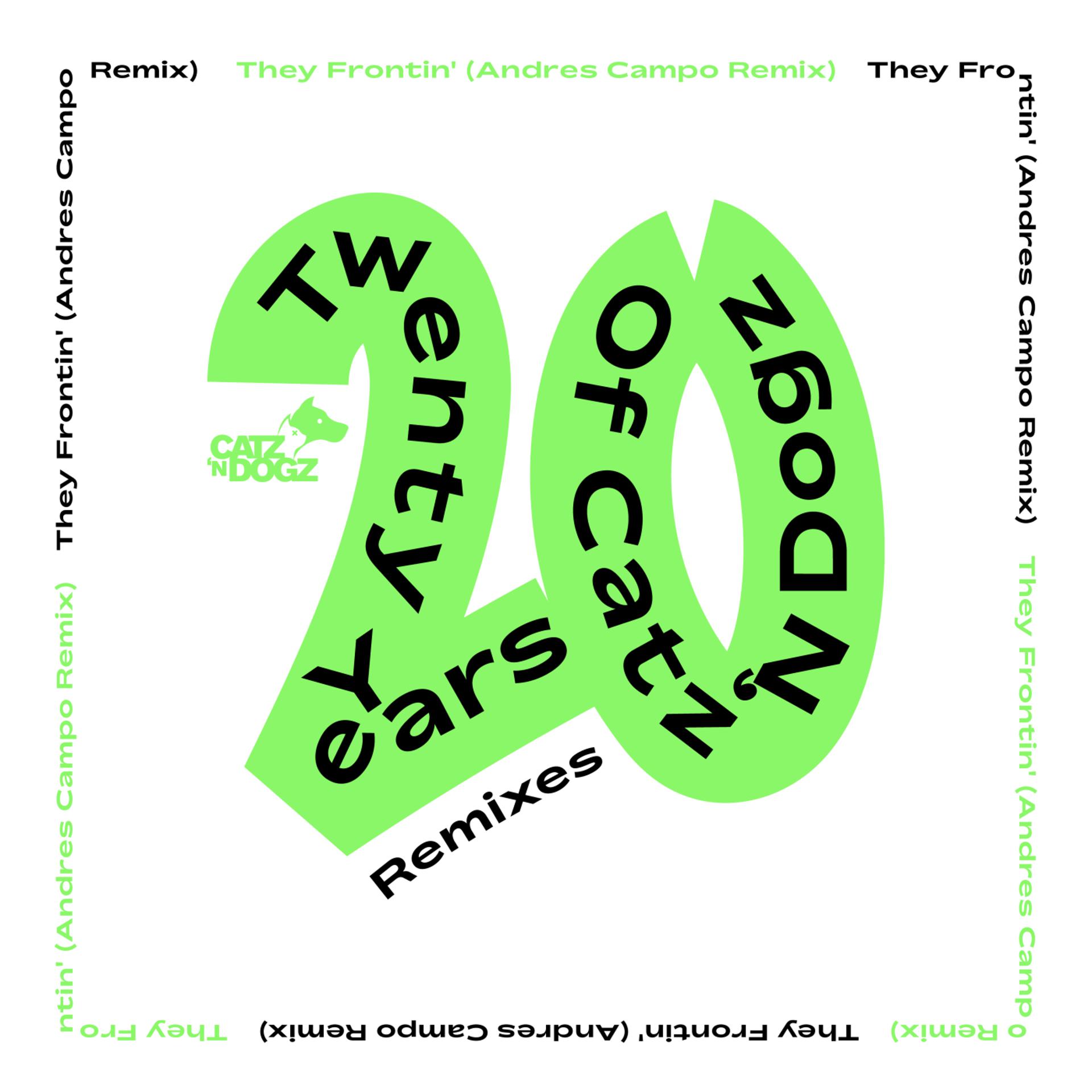 Постер альбома They Frontin' Remixes 2023