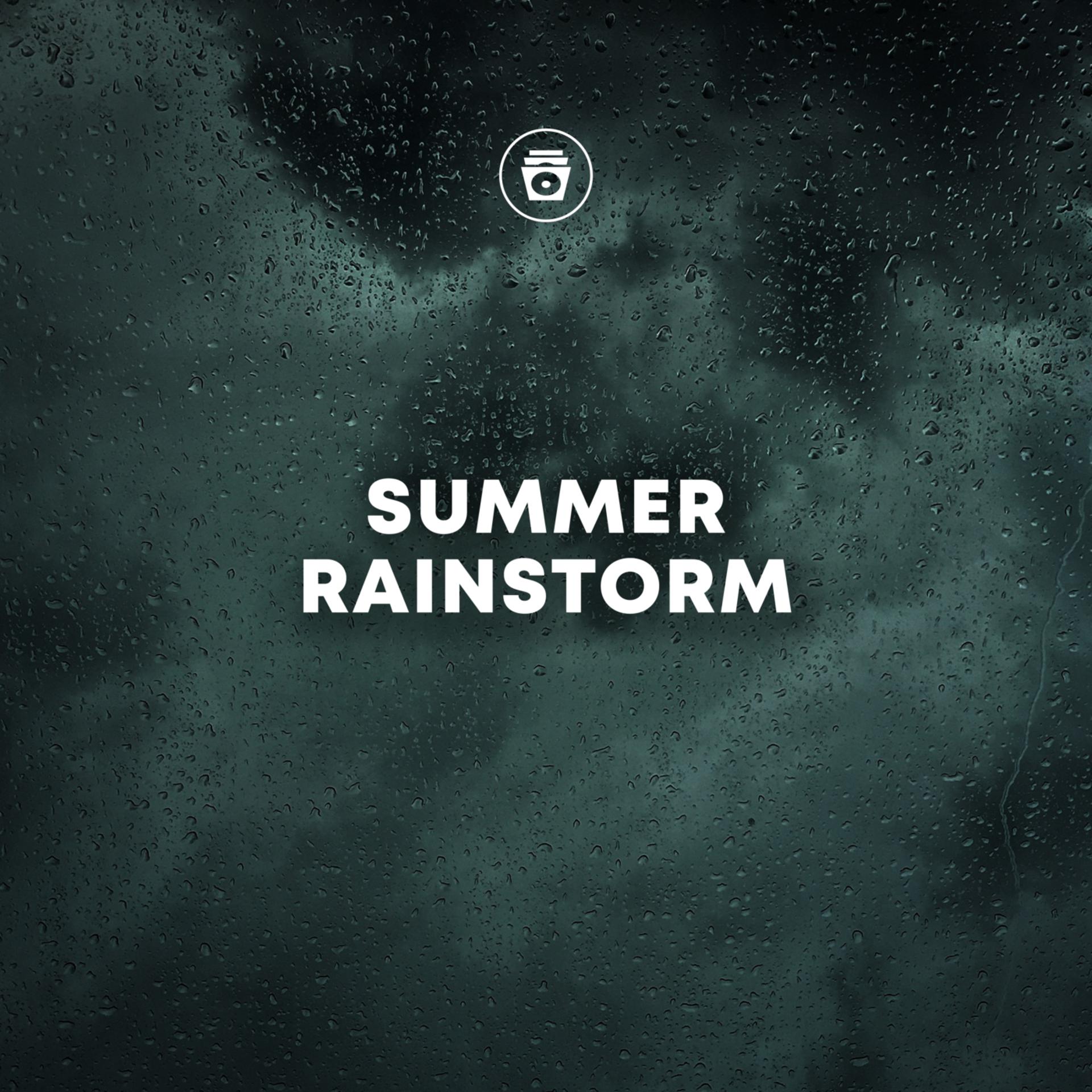 Постер альбома Summer Rainstorm