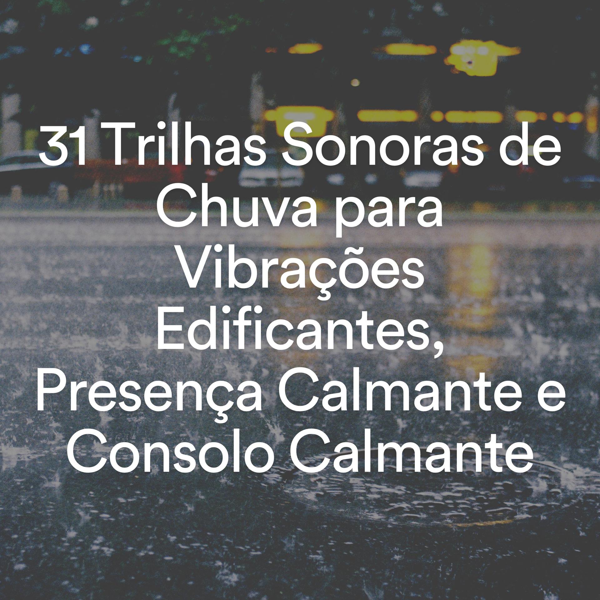 Постер альбома 31 Trilhas Sonoras de Chuva para Vibrações Edificantes, Presença Calmante e Consolo Calmante