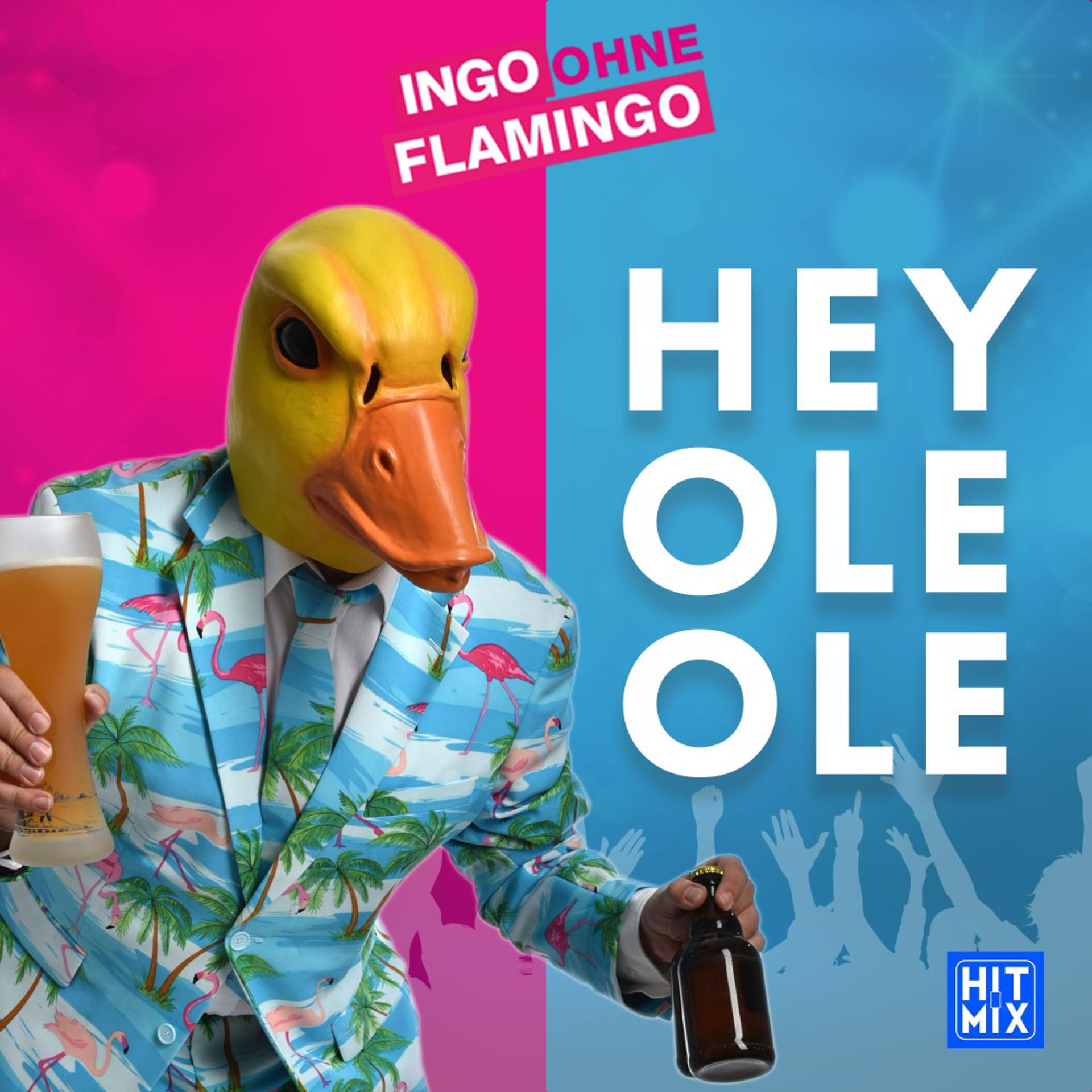 Постер альбома Hey Ole Ole