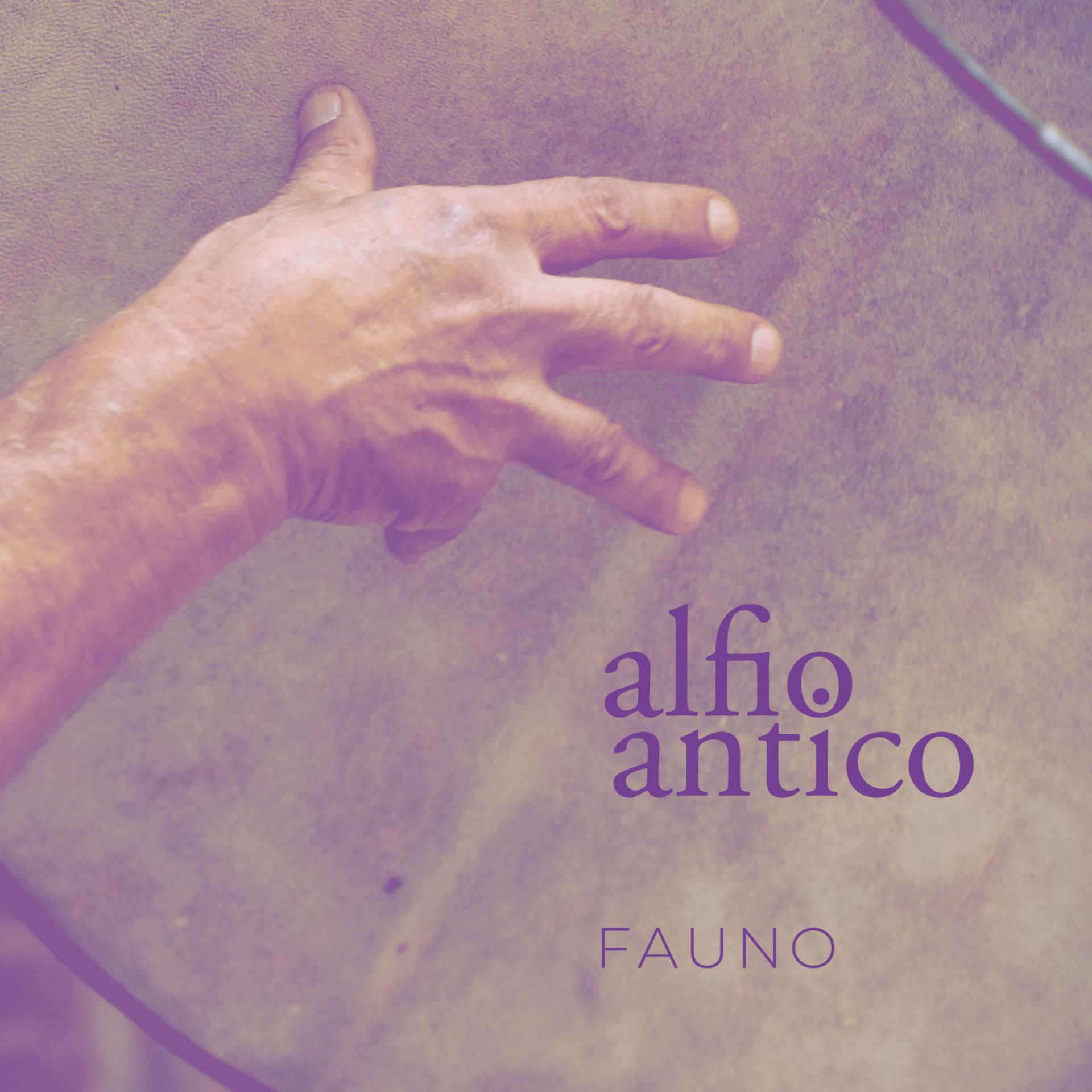 Постер альбома Fauno