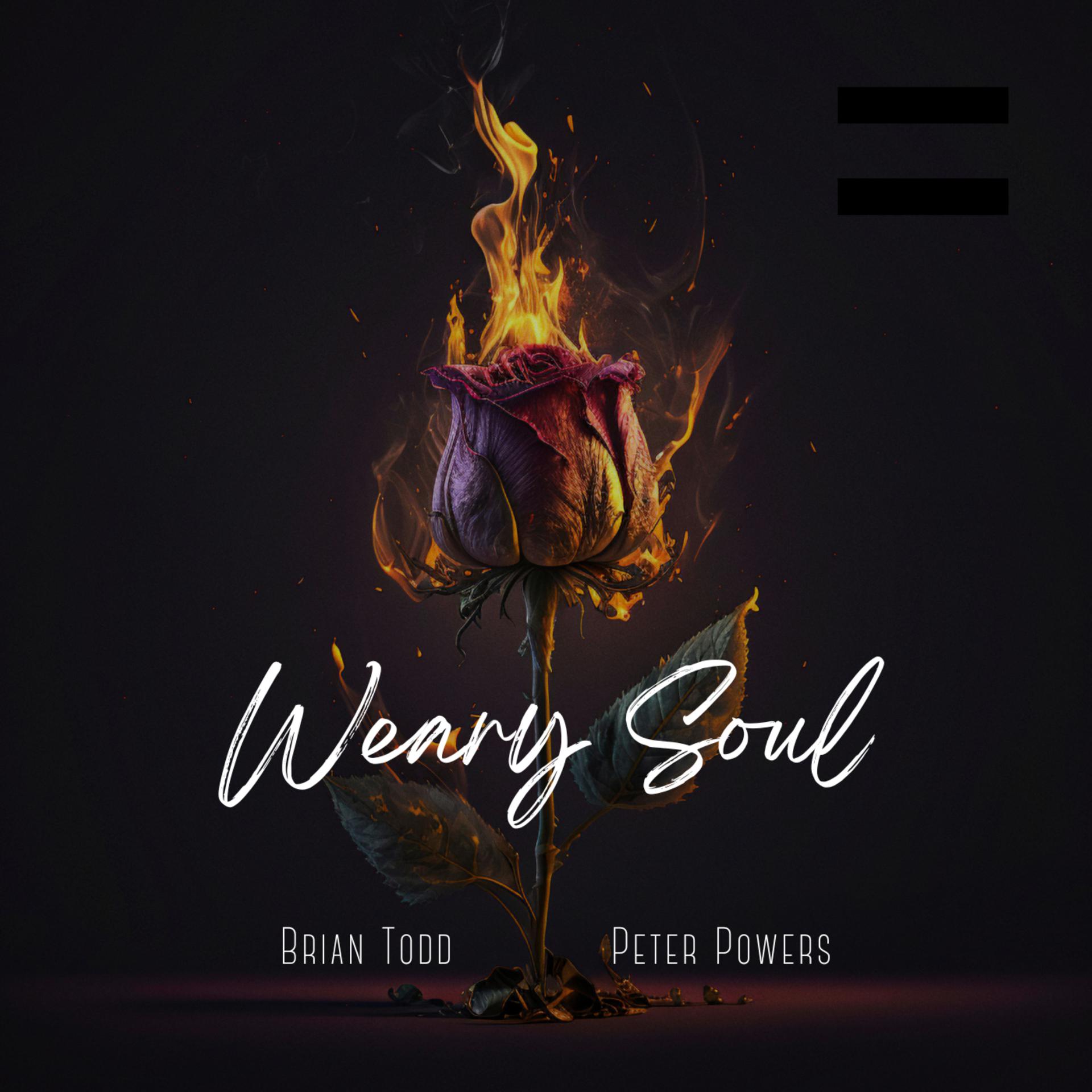 Постер альбома Weary Soul