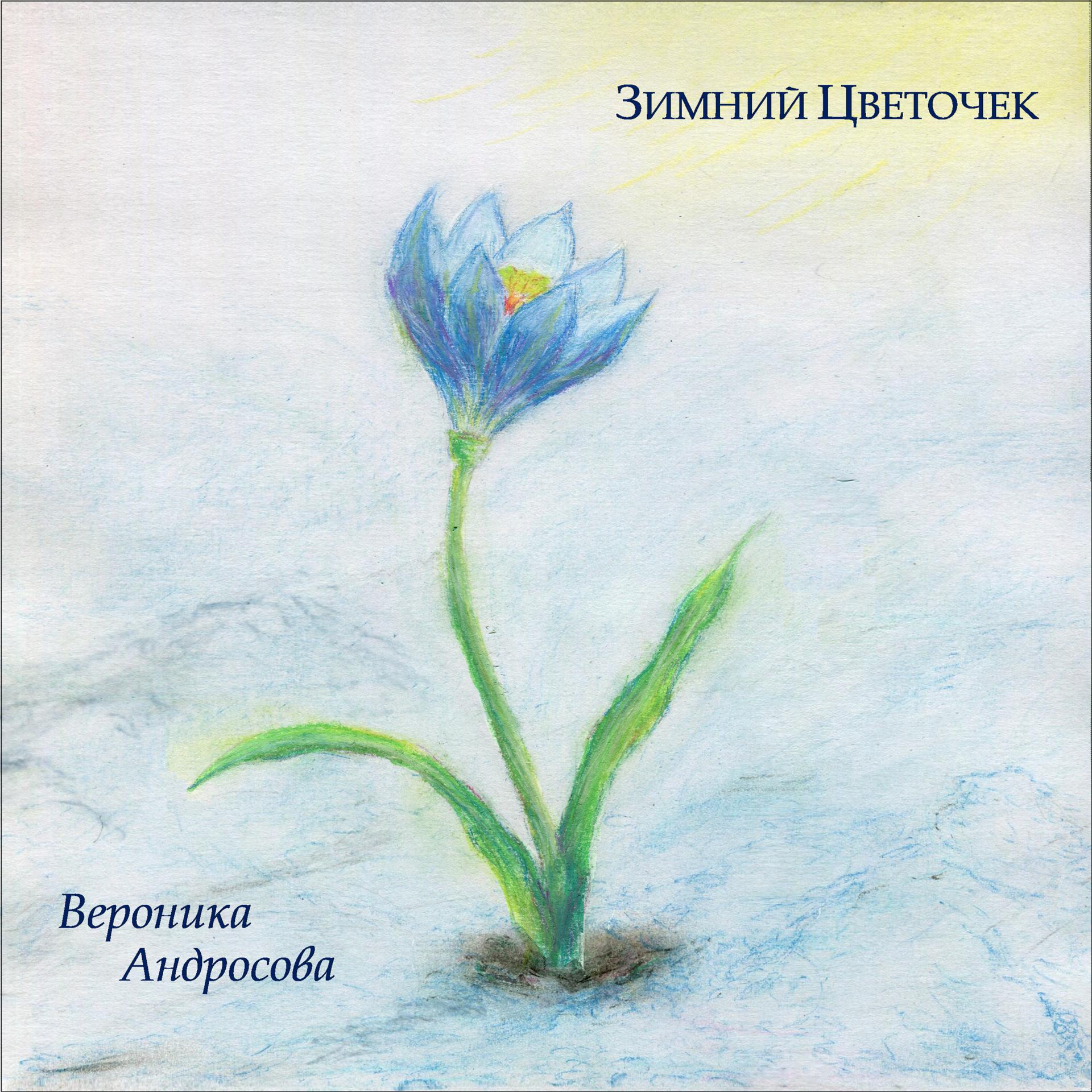 Постер альбома Зимний цветочек