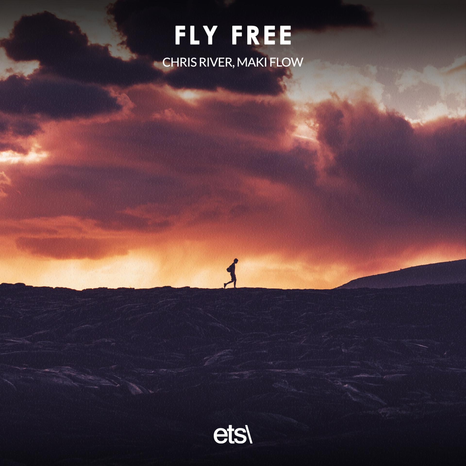 Постер альбома Fly Free