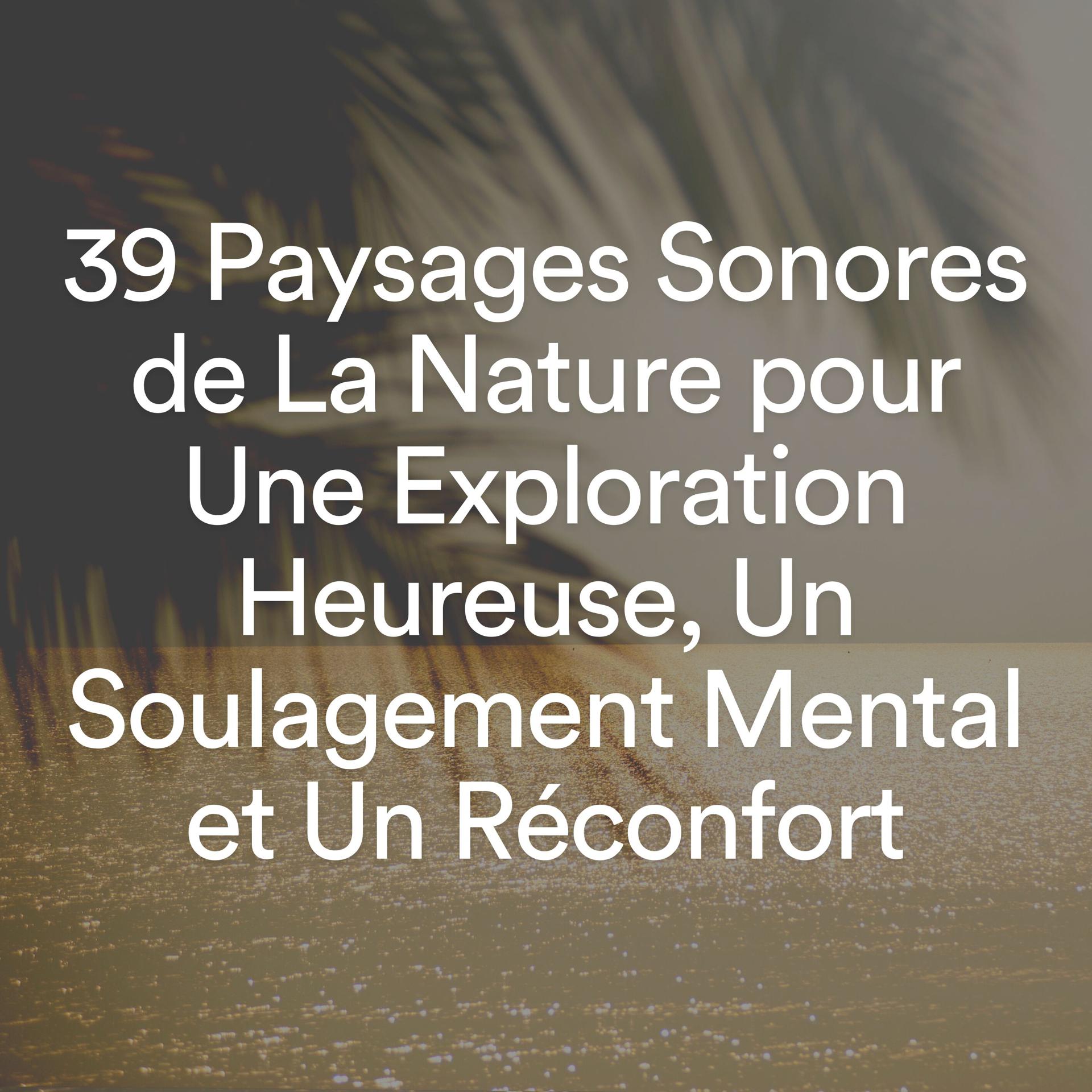 Постер альбома 39 Paysages Sonores de La Nature pour Une Exploration Heureuse, Un Soulagement Mental et Un Réconfort