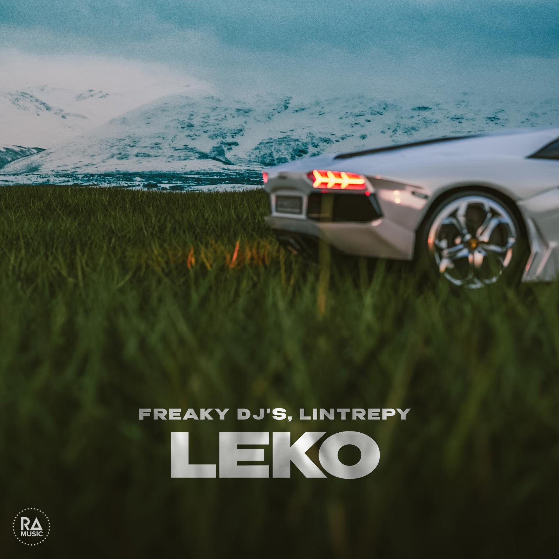 Постер альбома LEKO