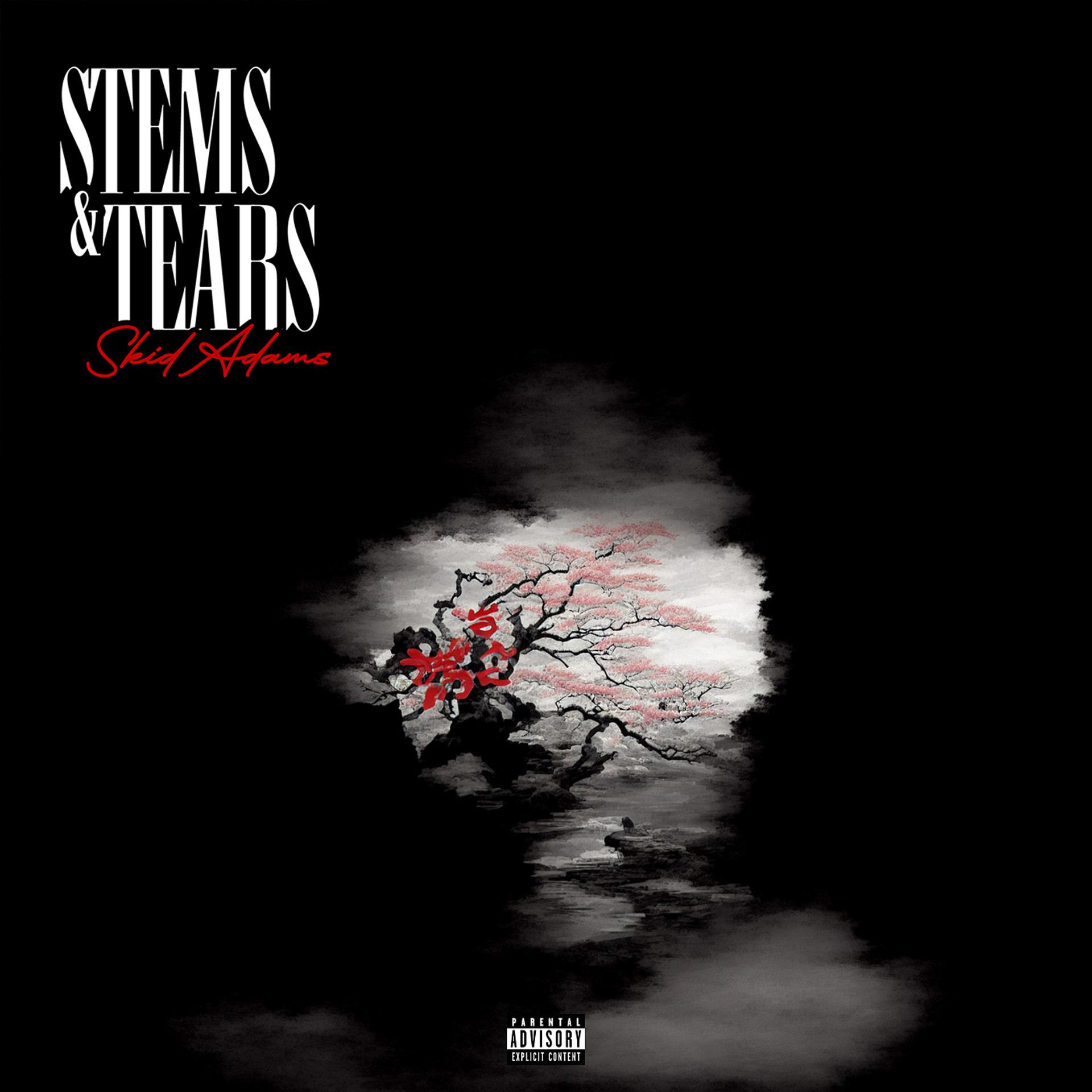 Постер альбома Stems & Tears