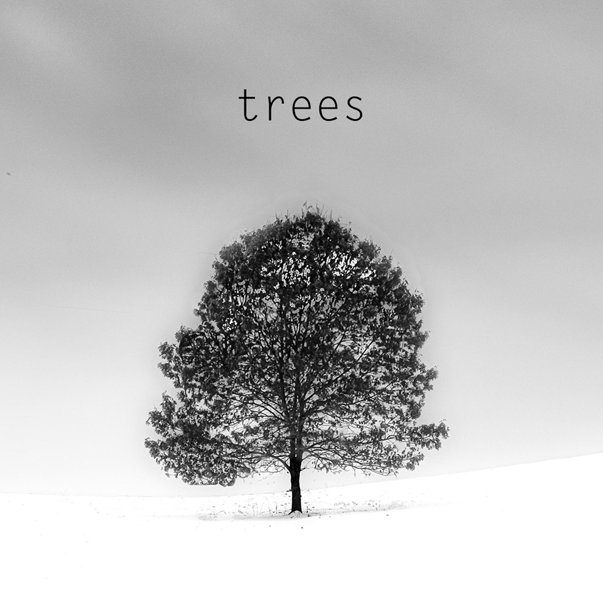 Постер альбома Trees