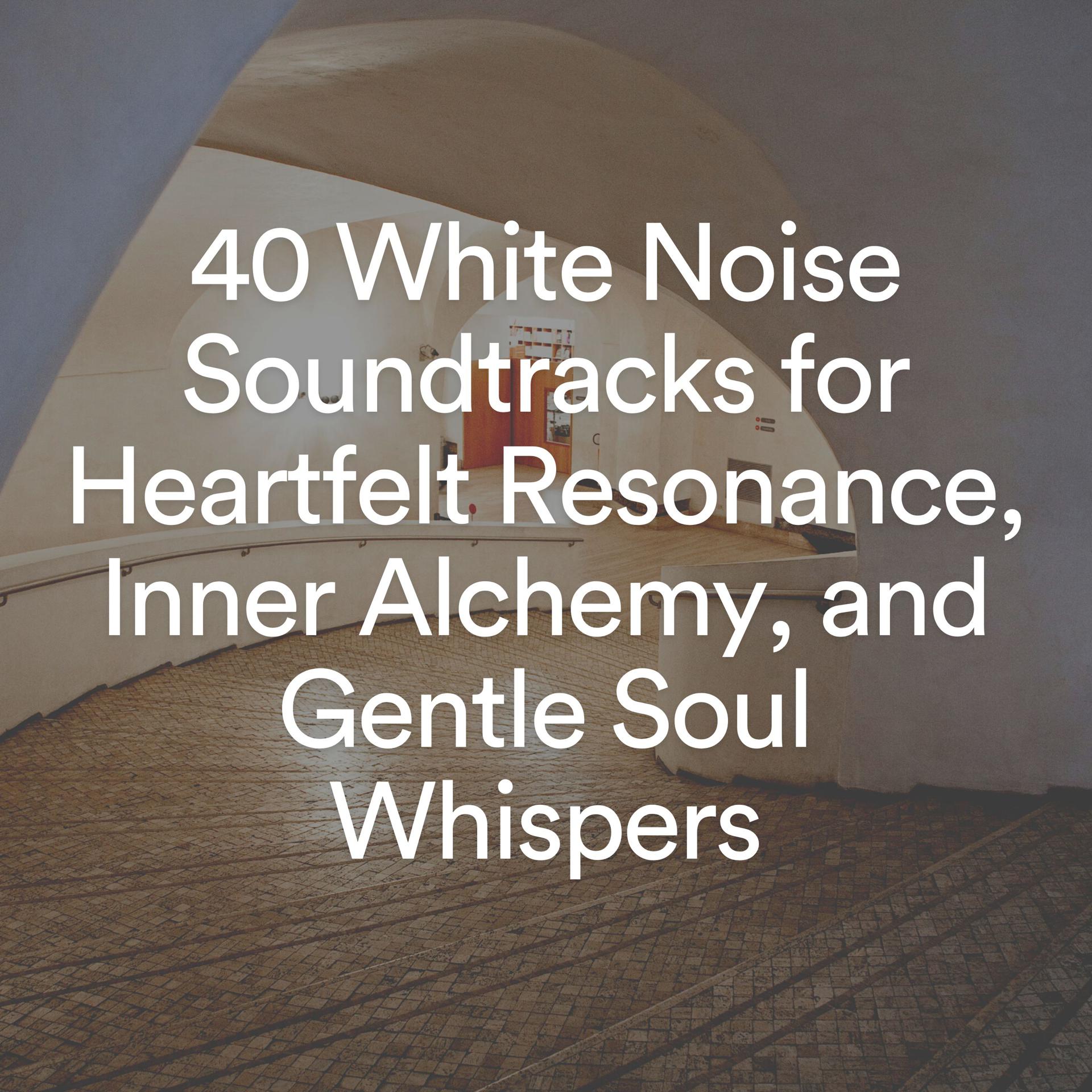 Постер альбома 40 White Noise Soundtracks for Heartfelt Resonance, Inner Alchemy, and Gentle Soul Whispers