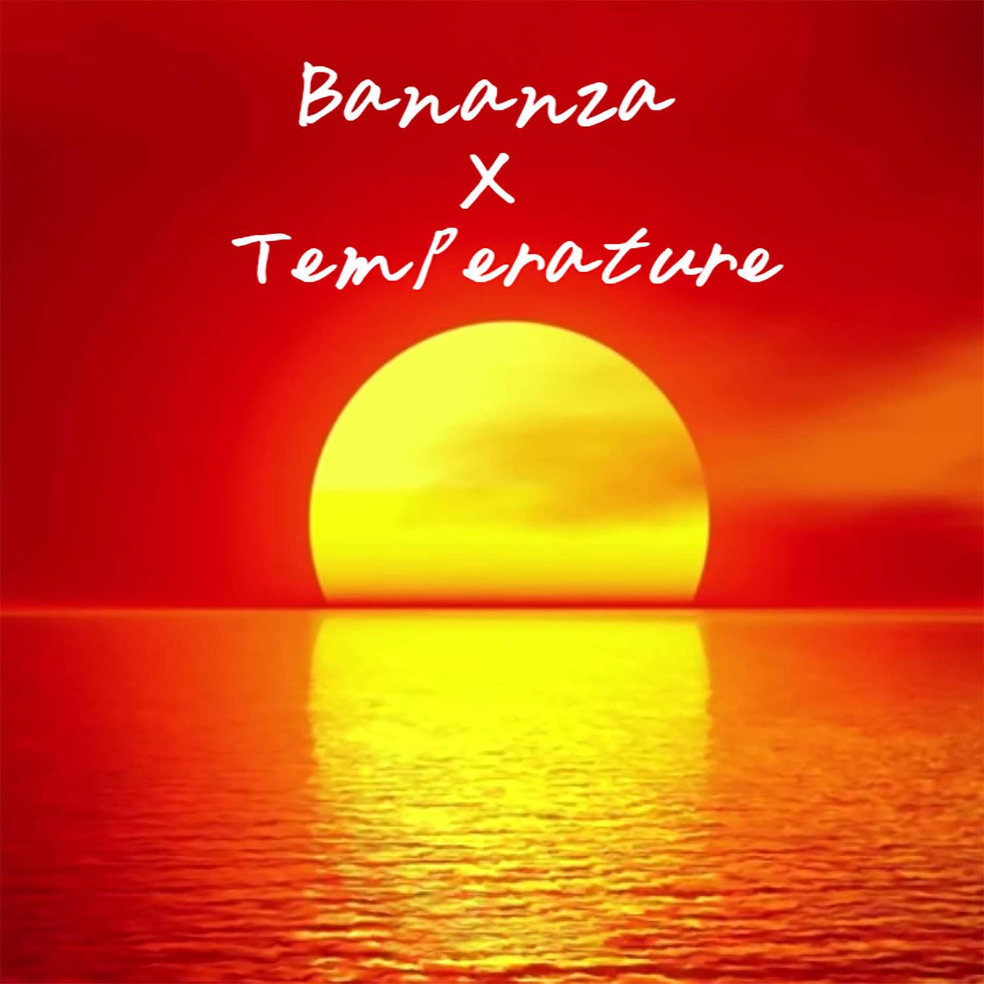 Постер альбома Bananza X Temperature