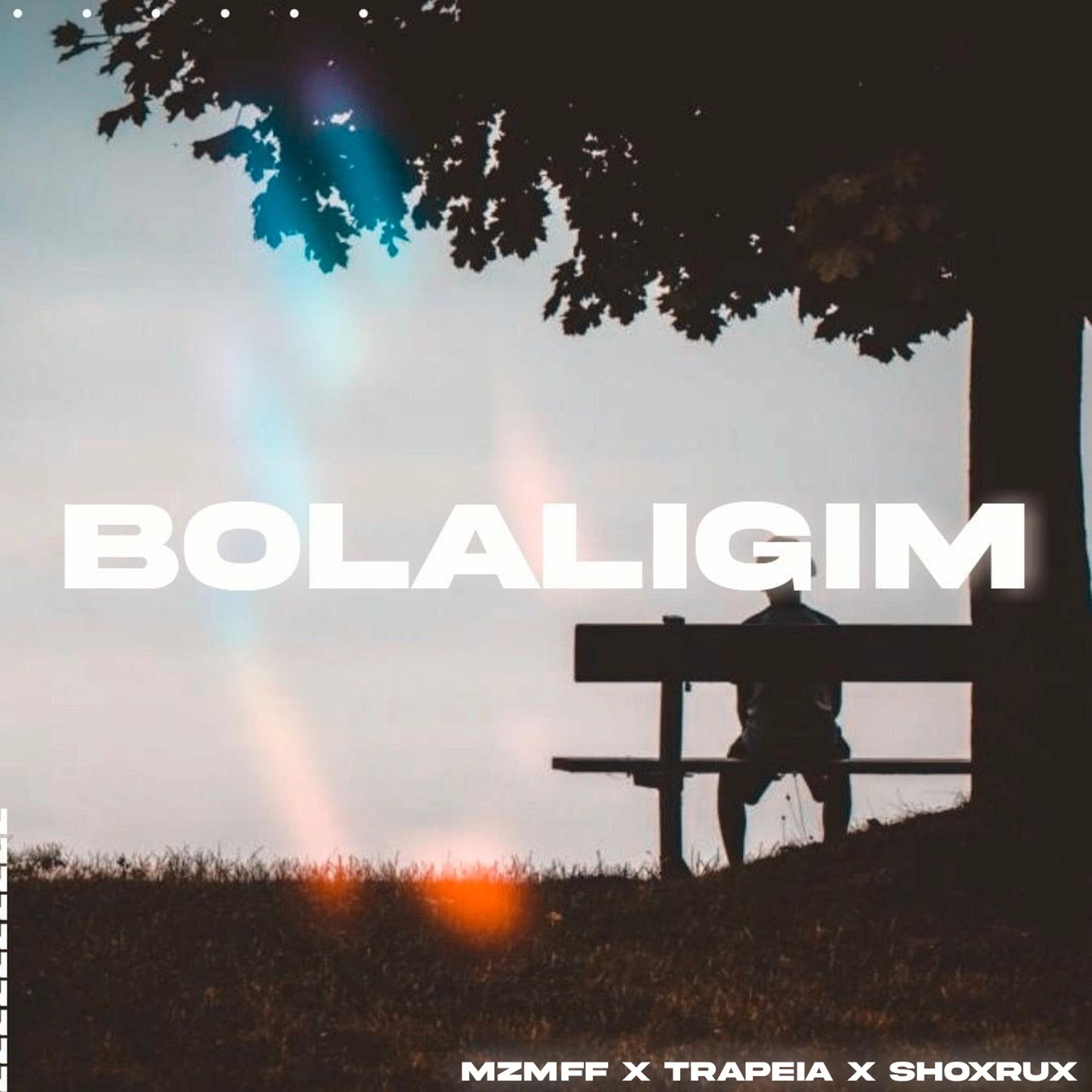 Постер альбома Bolaligim