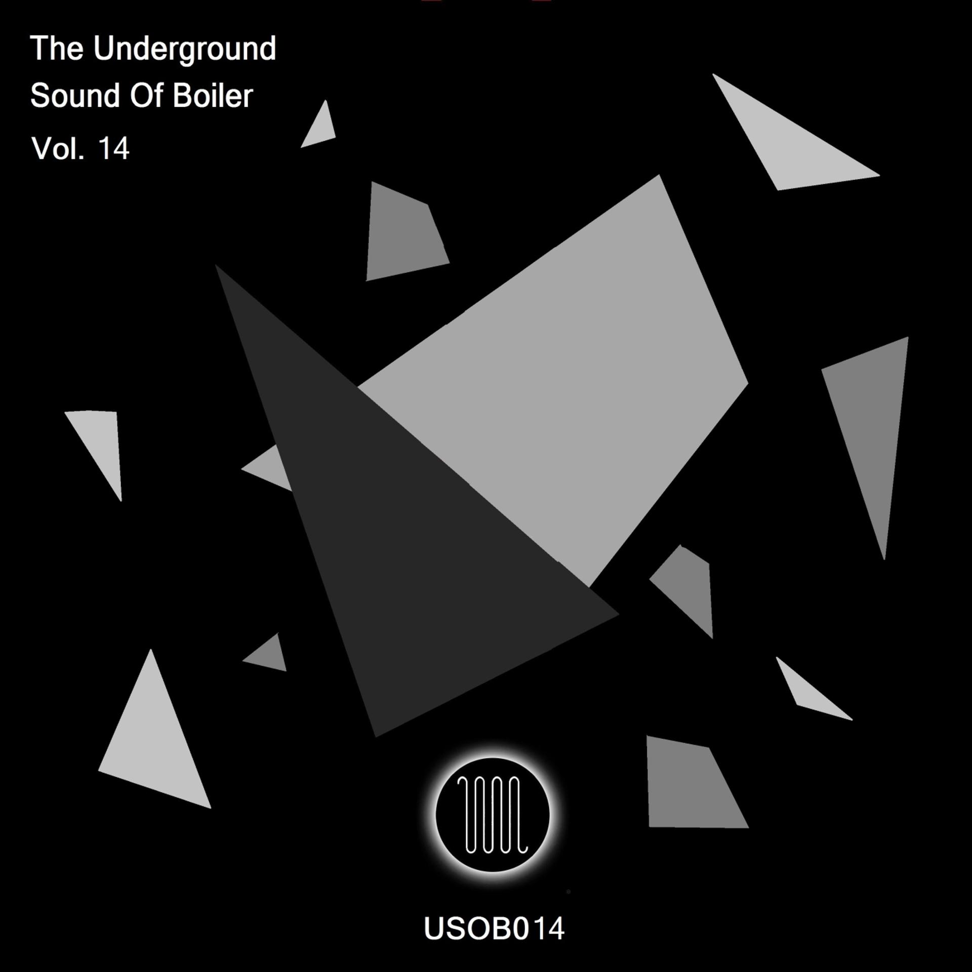 Постер альбома The Underground Sound Of Boiler, Vol. 14