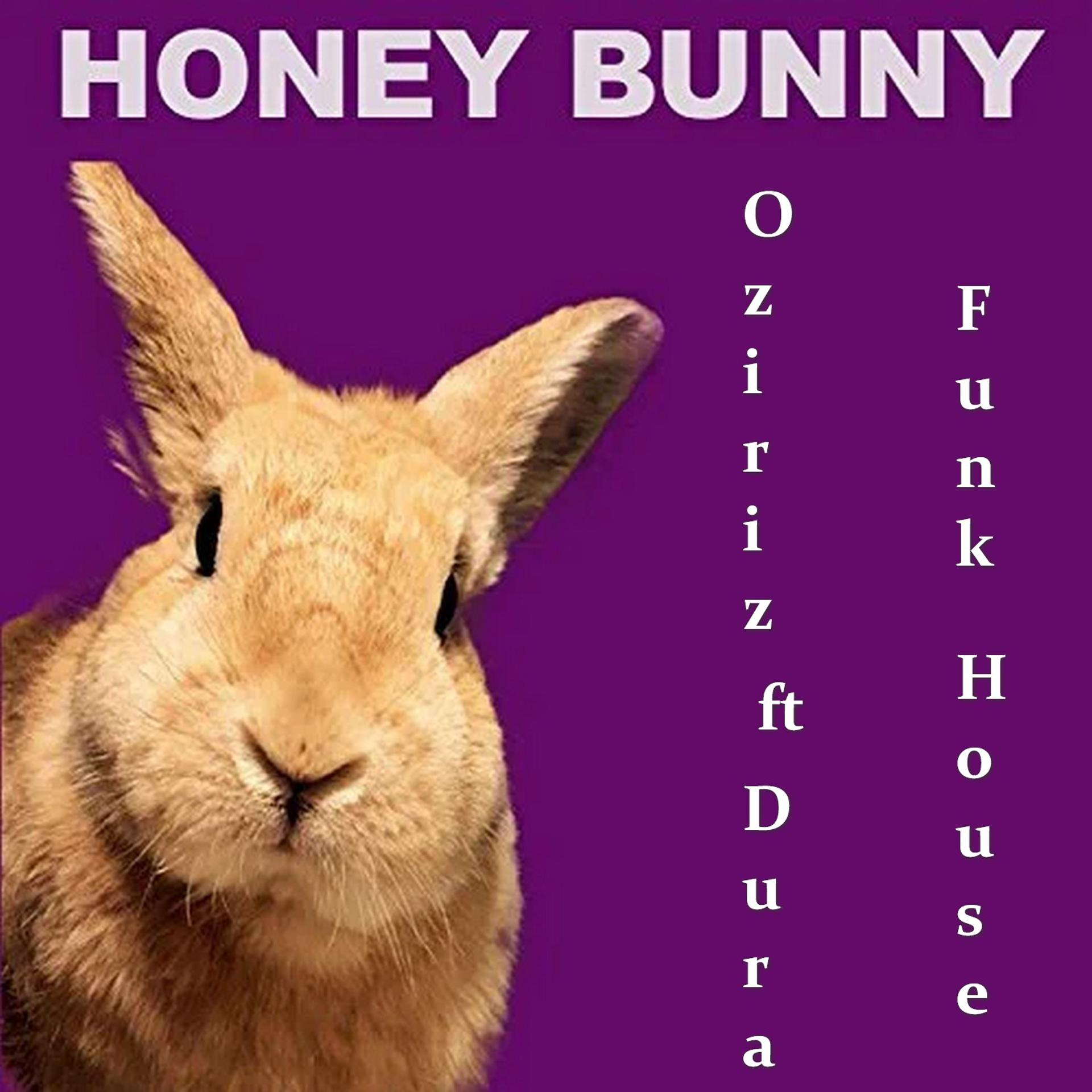 Постер альбома Funk House