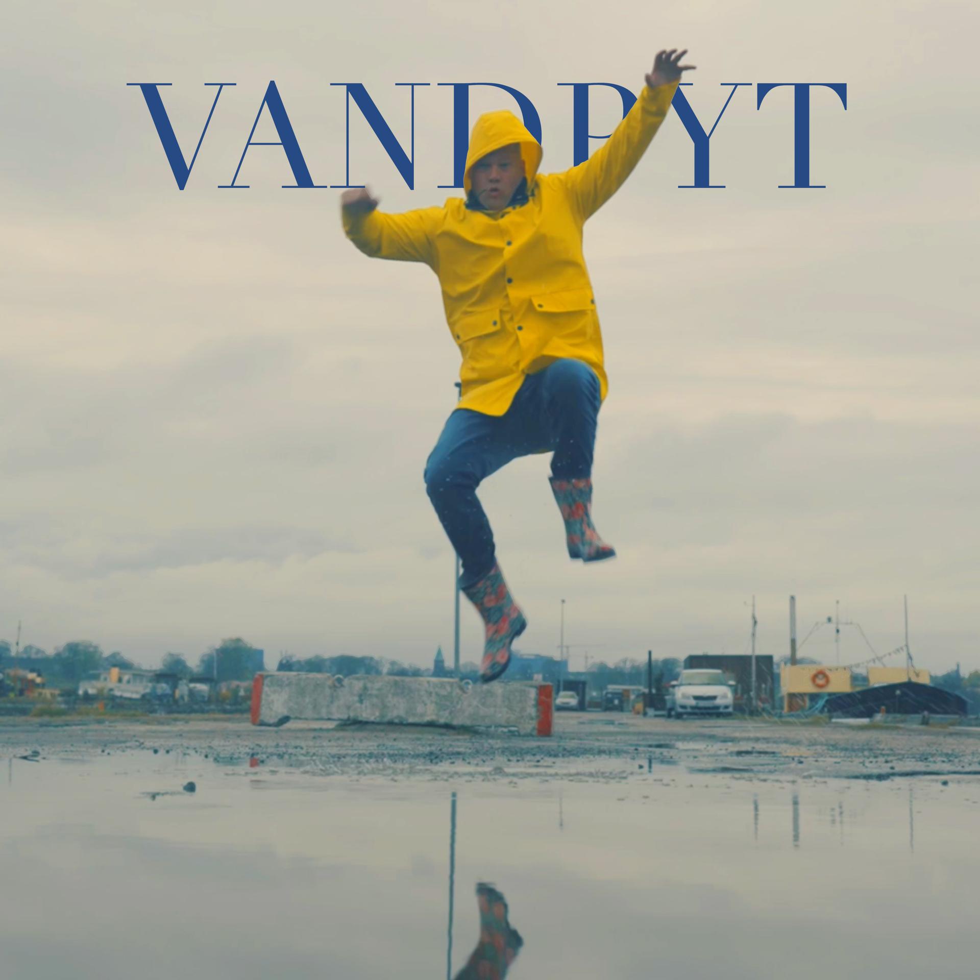 Постер альбома Vandpyt