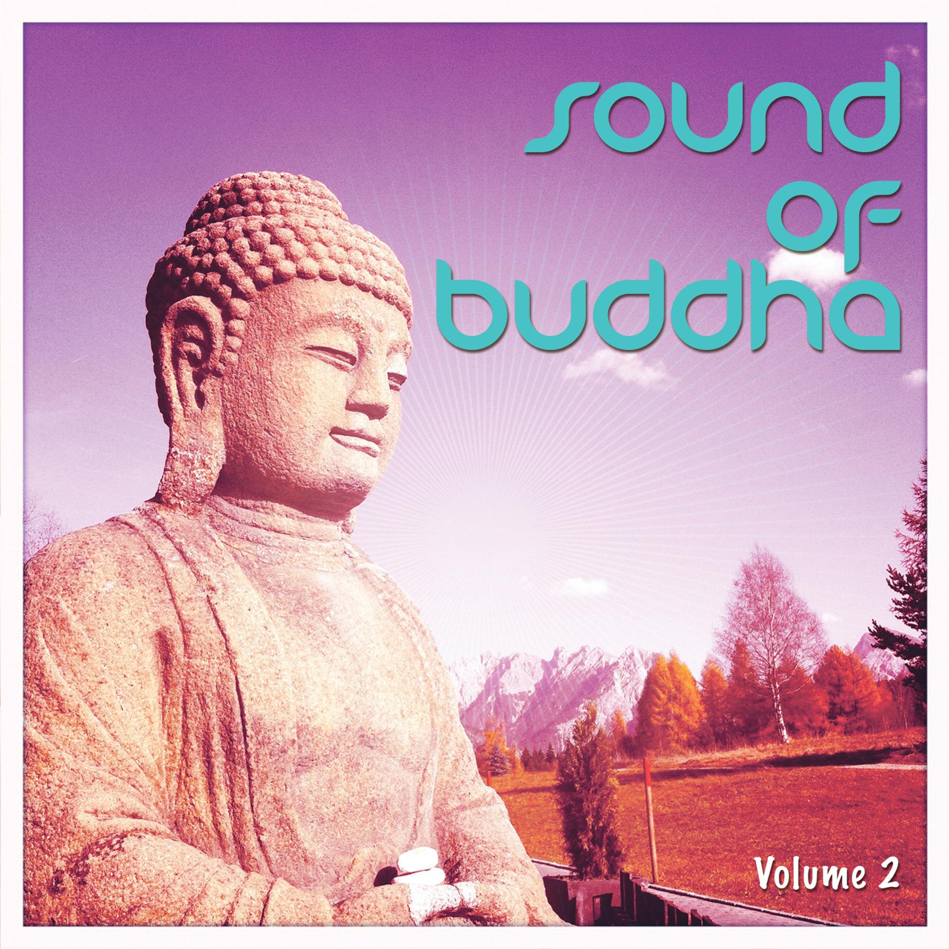 Постер альбома Sound Of Buddha, Vol. 2