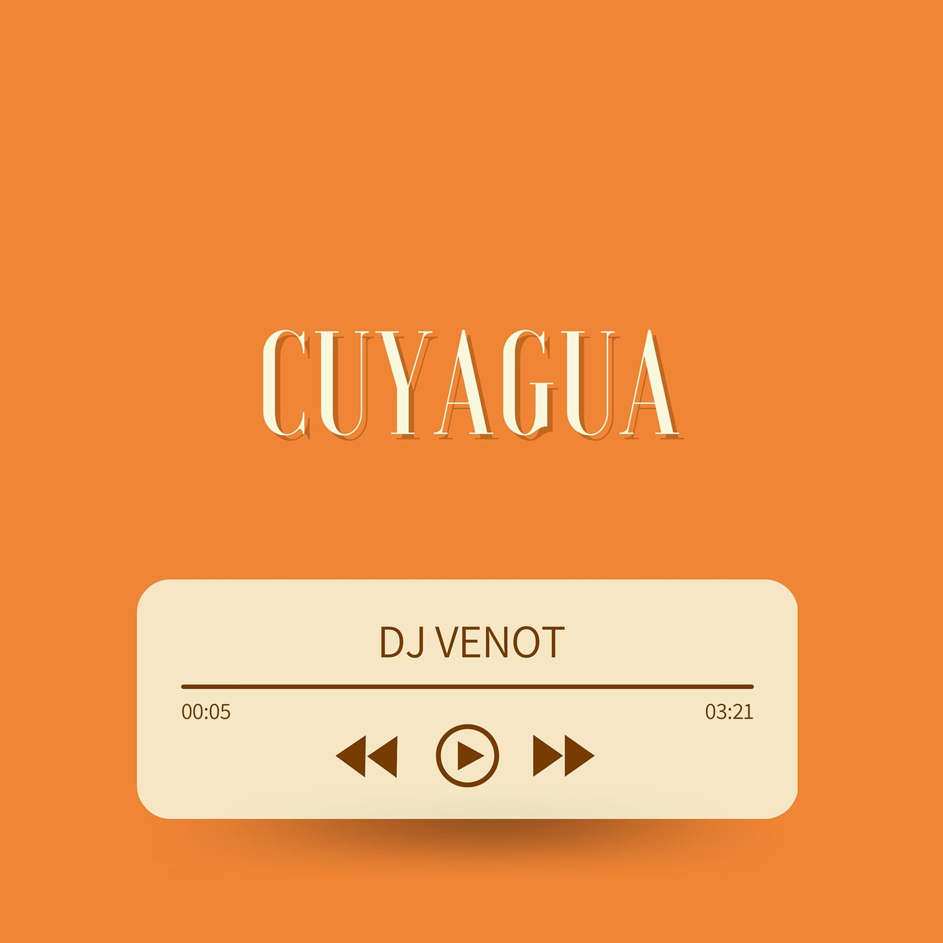 Постер альбома Cuyagua