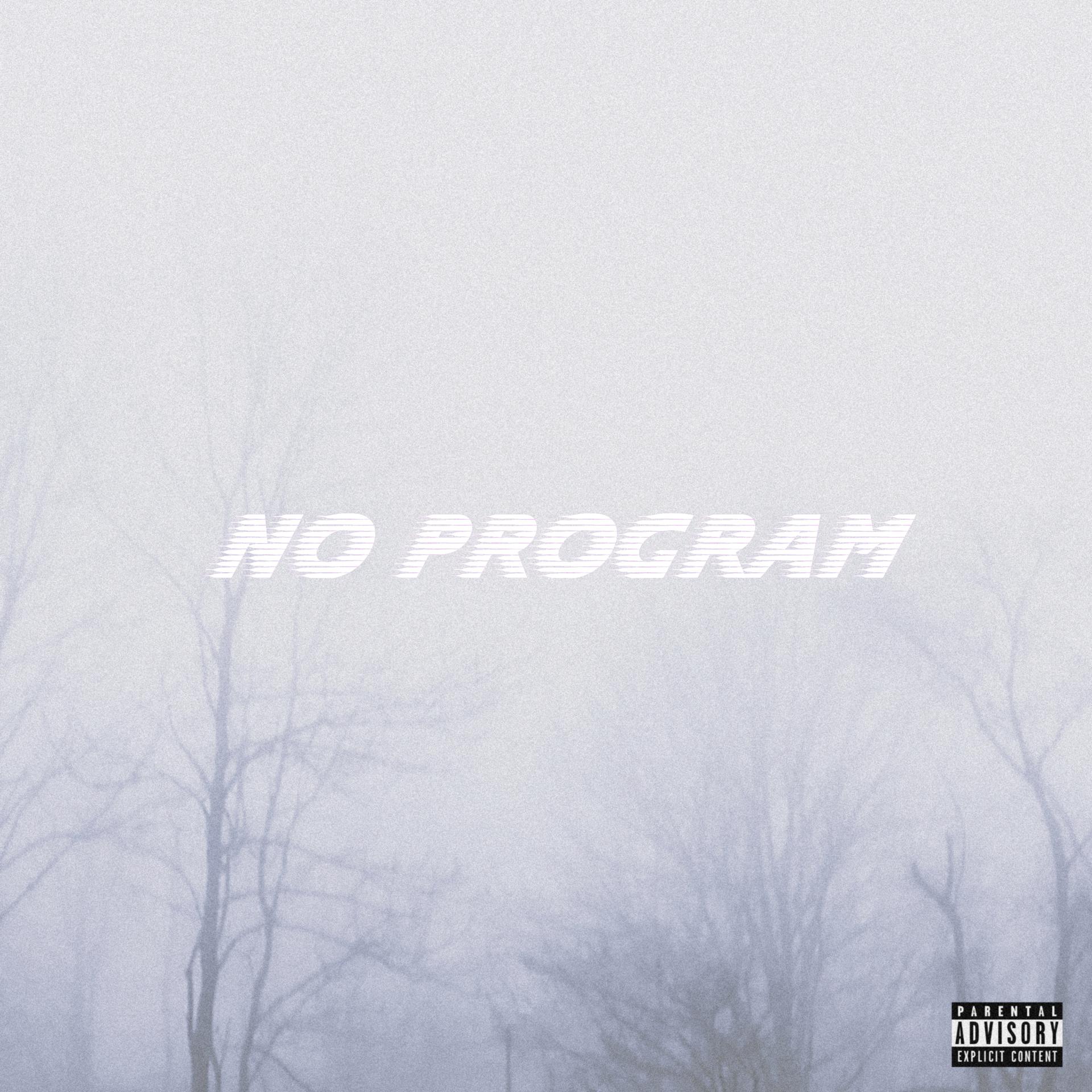 Постер альбома No Program